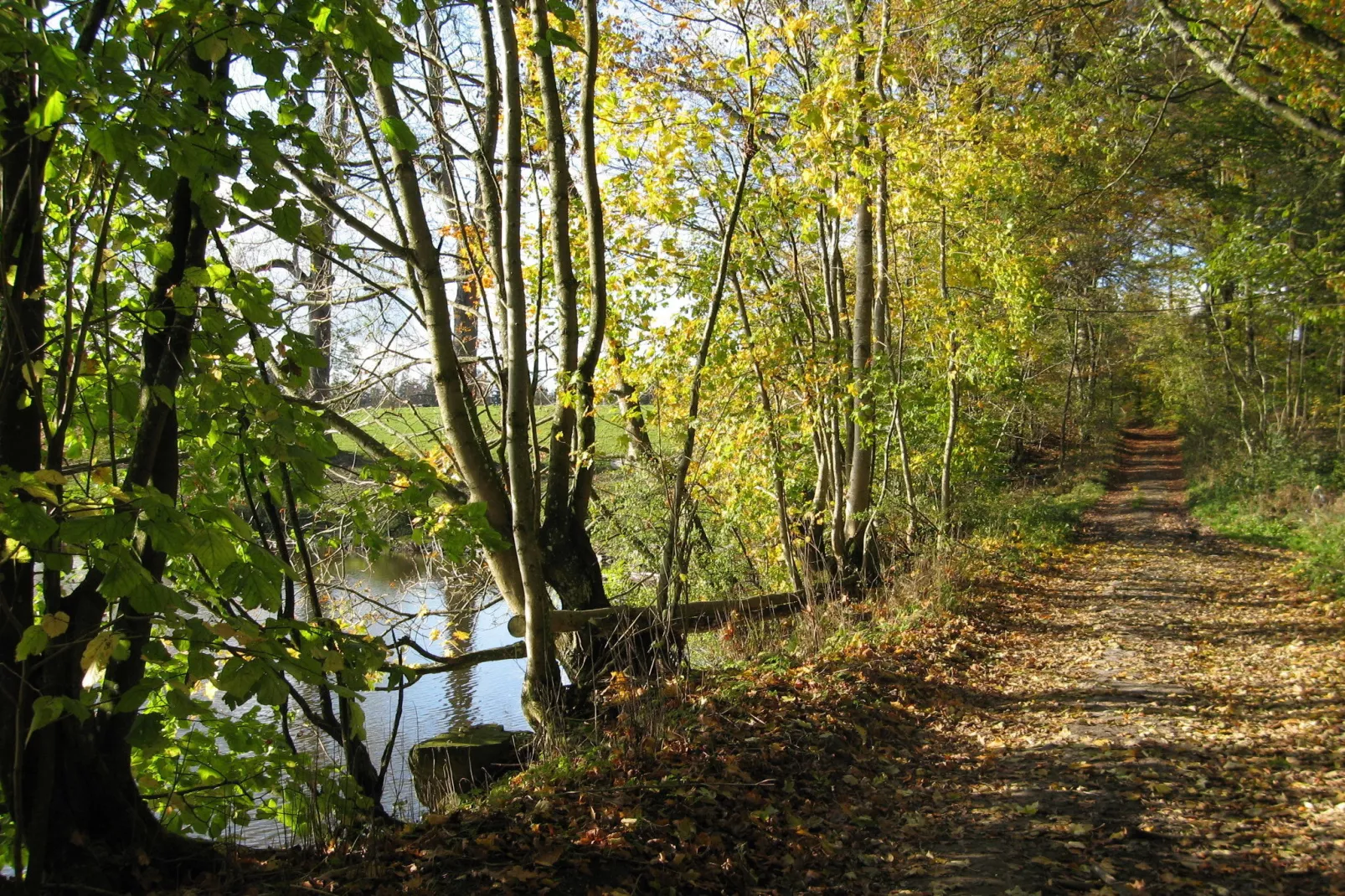 Le Moulin Sylvestre-Gebieden zomer 1km