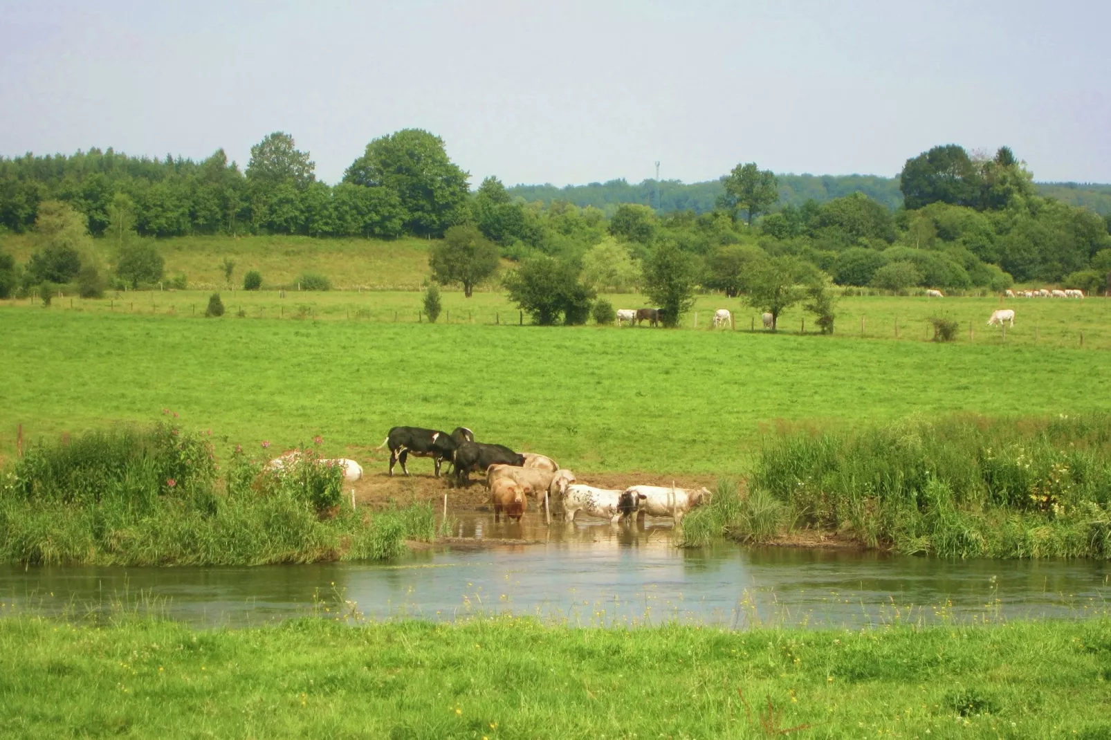 Le Moulin Sylvestre-Gebieden zomer 5km