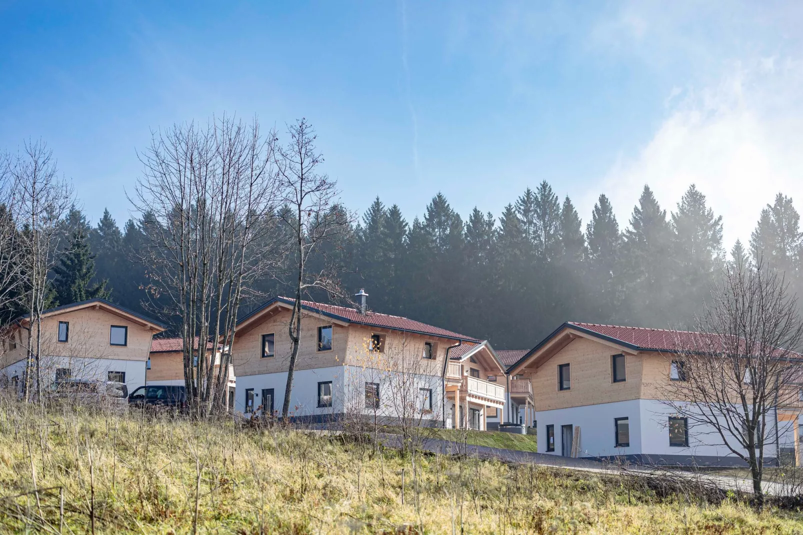 Chalet Großer Arber-Gebieden zomer 1km