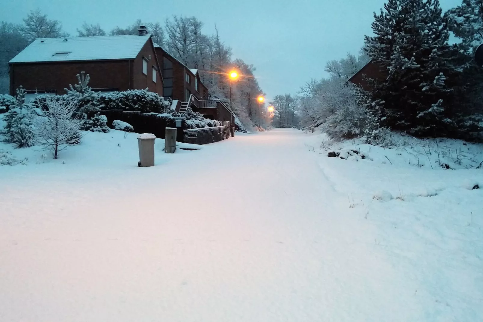 L'Orchidée-Gebied winter 1km