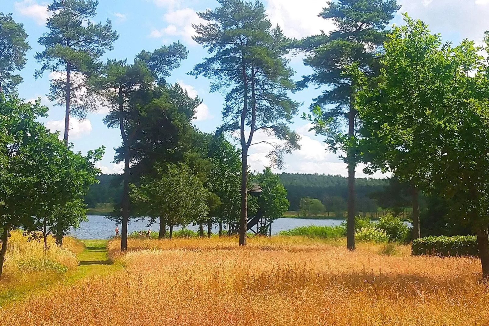 6 persoons vakantie huis in Silkeborg-By Traum-Niet-getagd