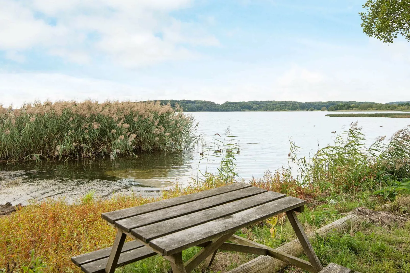 8 persoons vakantie huis in Skanderborg-Waterzicht