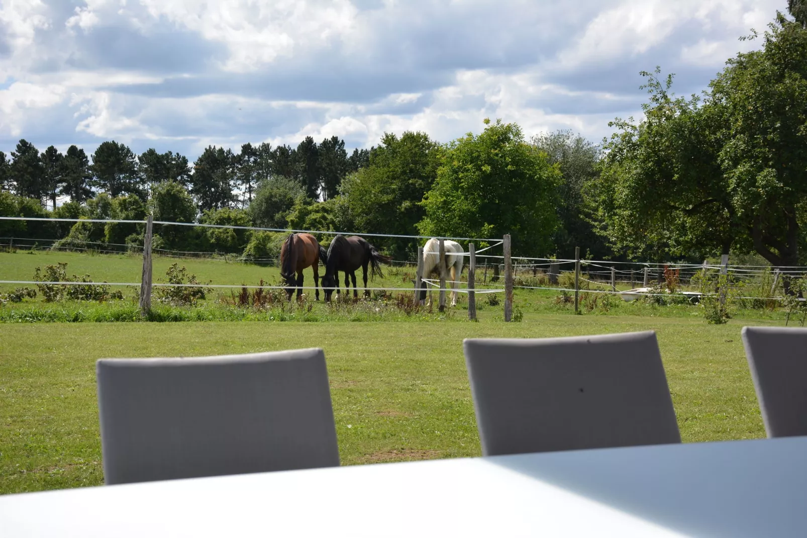 Sous le Charme d'Epona-Uitzicht zomer