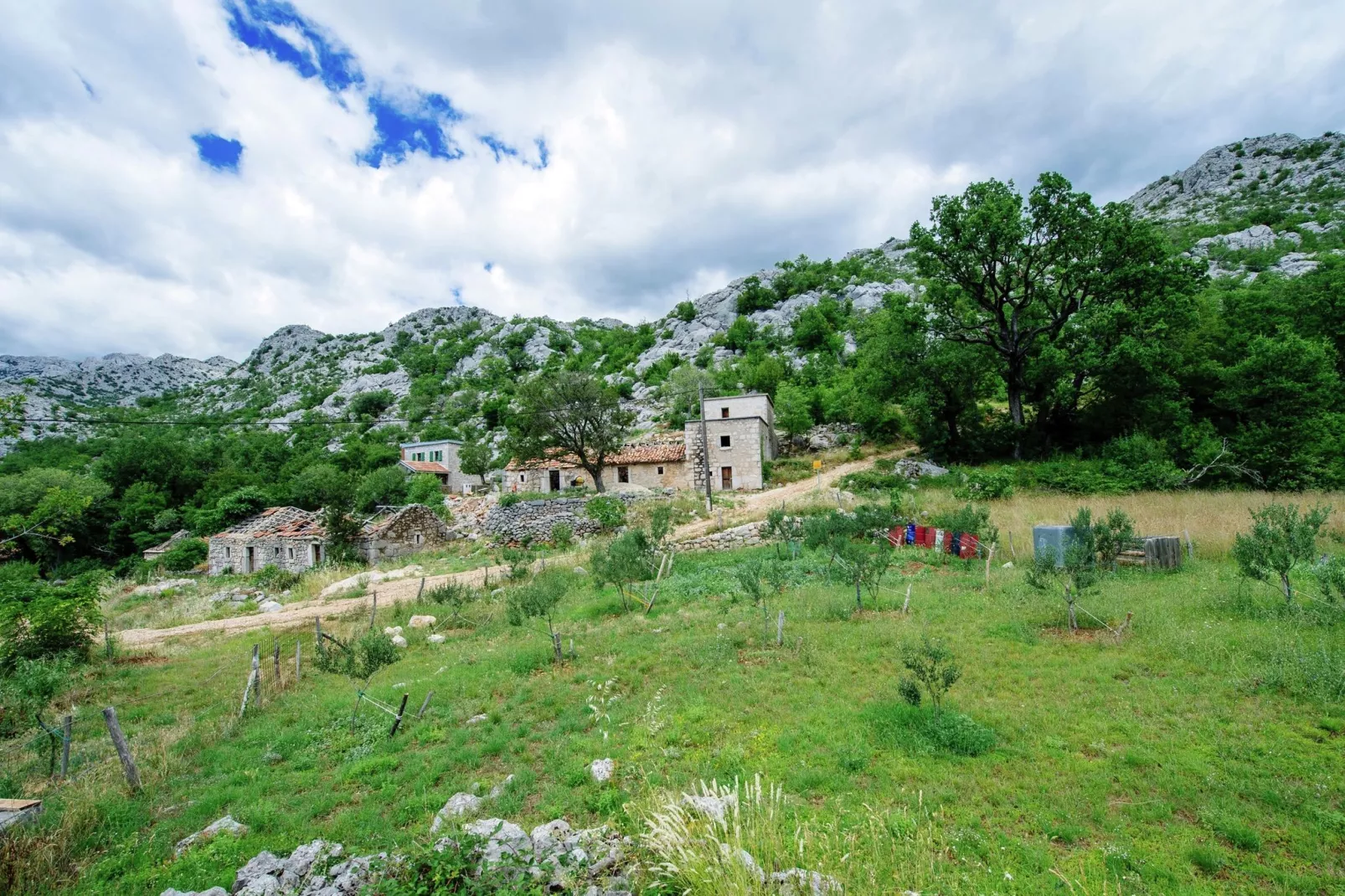 Stone house Dobroselo-Gebieden zomer 1km
