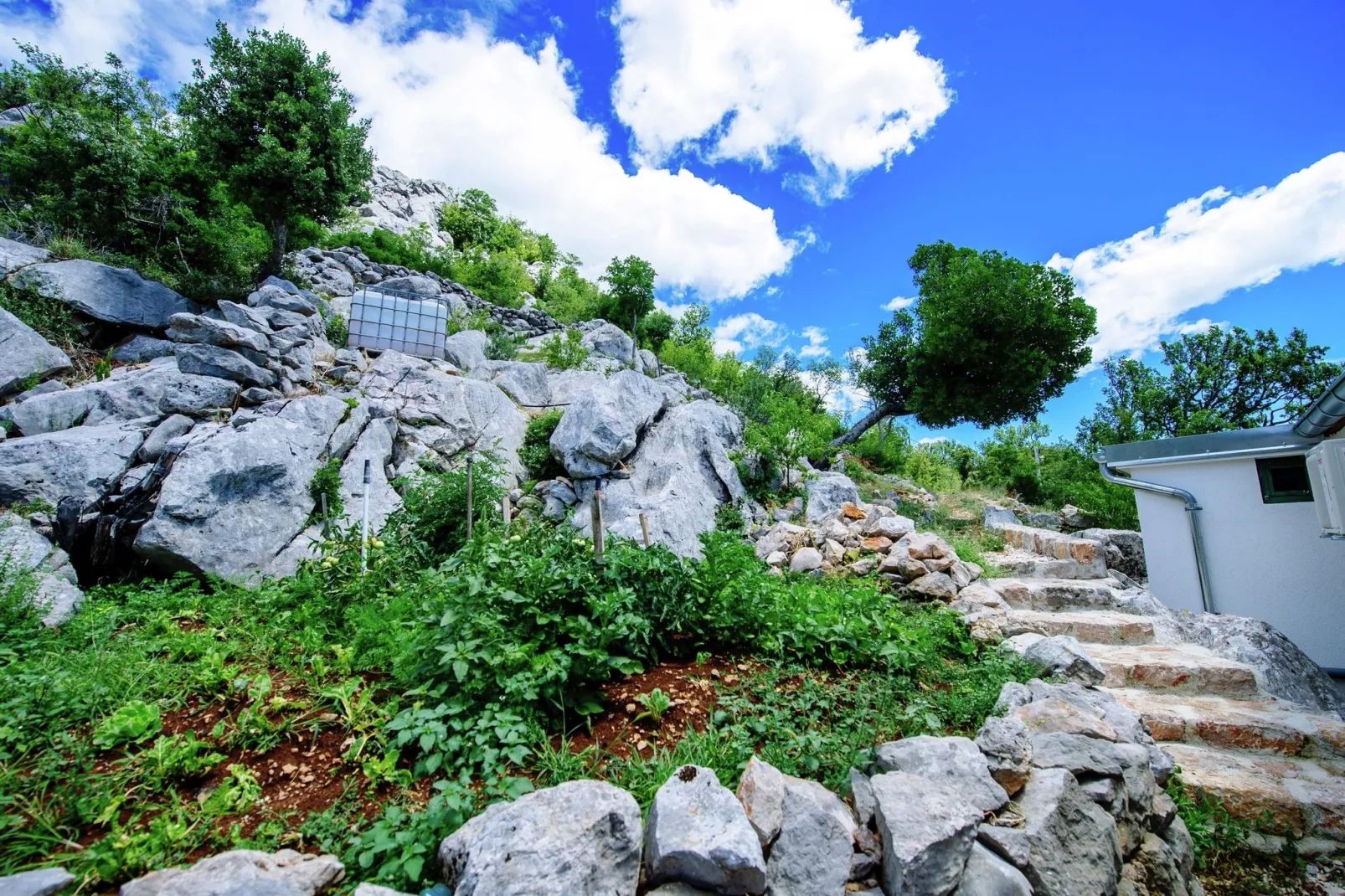 Stone house Dobroselo-Gebieden zomer 5km