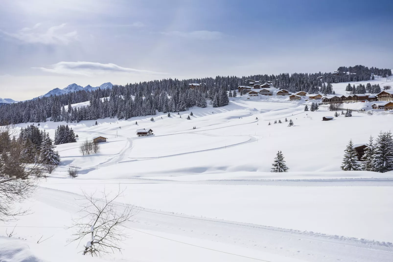 Résidence Les Chalets des Cimes-Gebied winter 5km