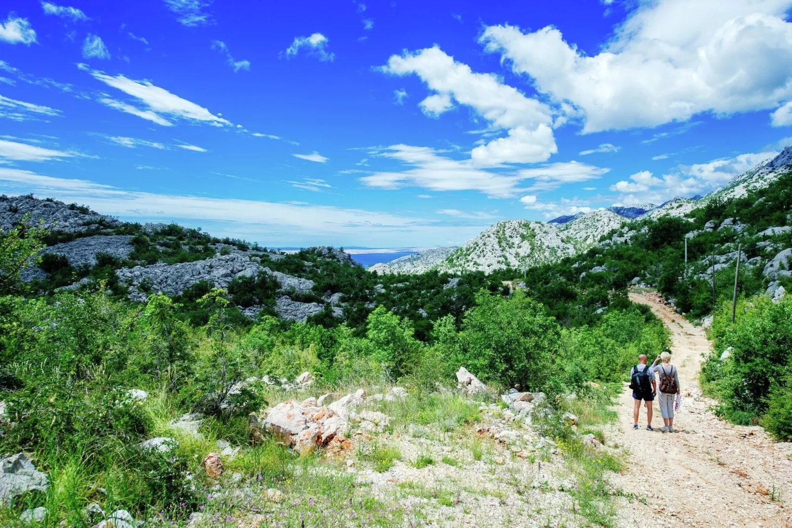 Stone house Dobroselo-Gebieden zomer 1km