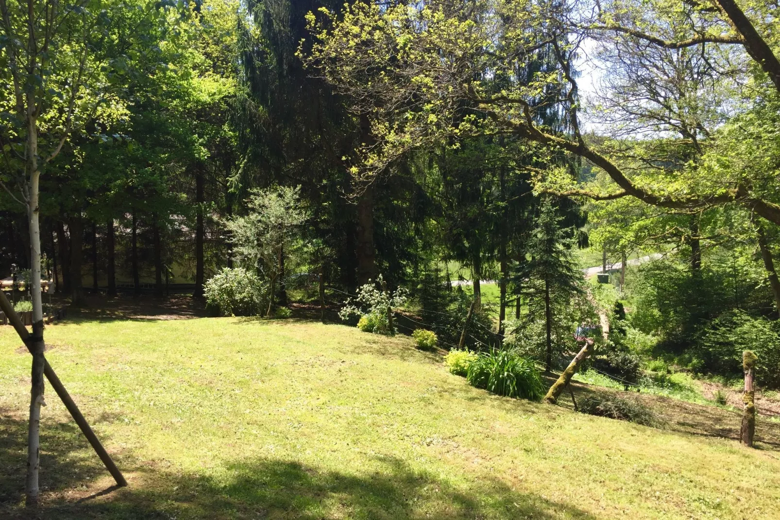 Remschweiler-Uitzicht zomer