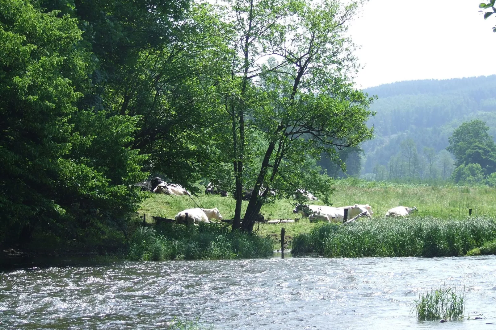 Mooi chalet op een camping, met verschillende terrassen en prachtig uitzicht-Gebieden zomer 1km