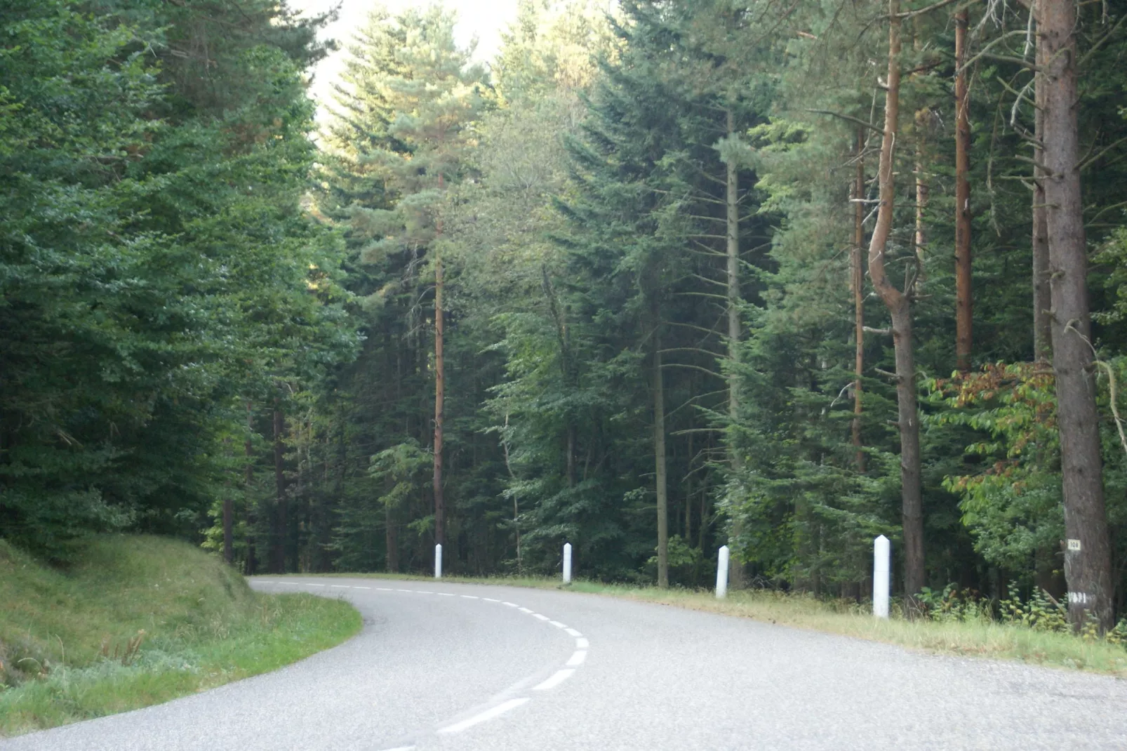 Remschweiler-Gebieden zomer 1km