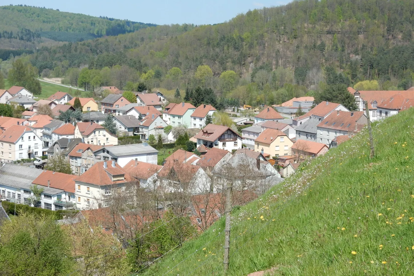 Remschweiler-Gebieden zomer 5km