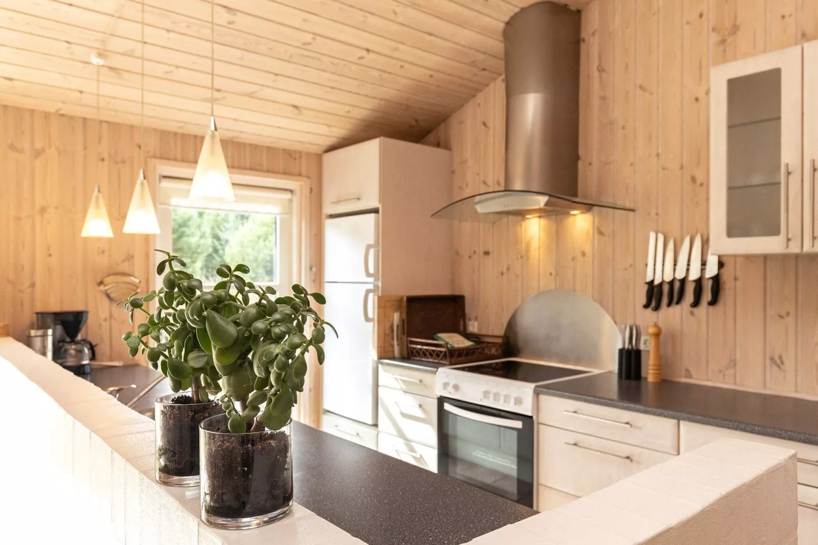 8 persoons vakantie huis in Ålbæk-By Traum-Binnen