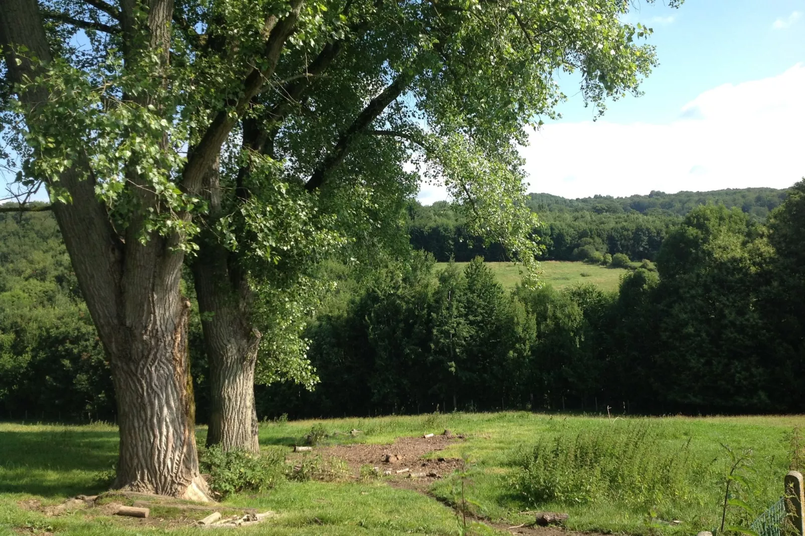 House with a view-Gebieden zomer 20km