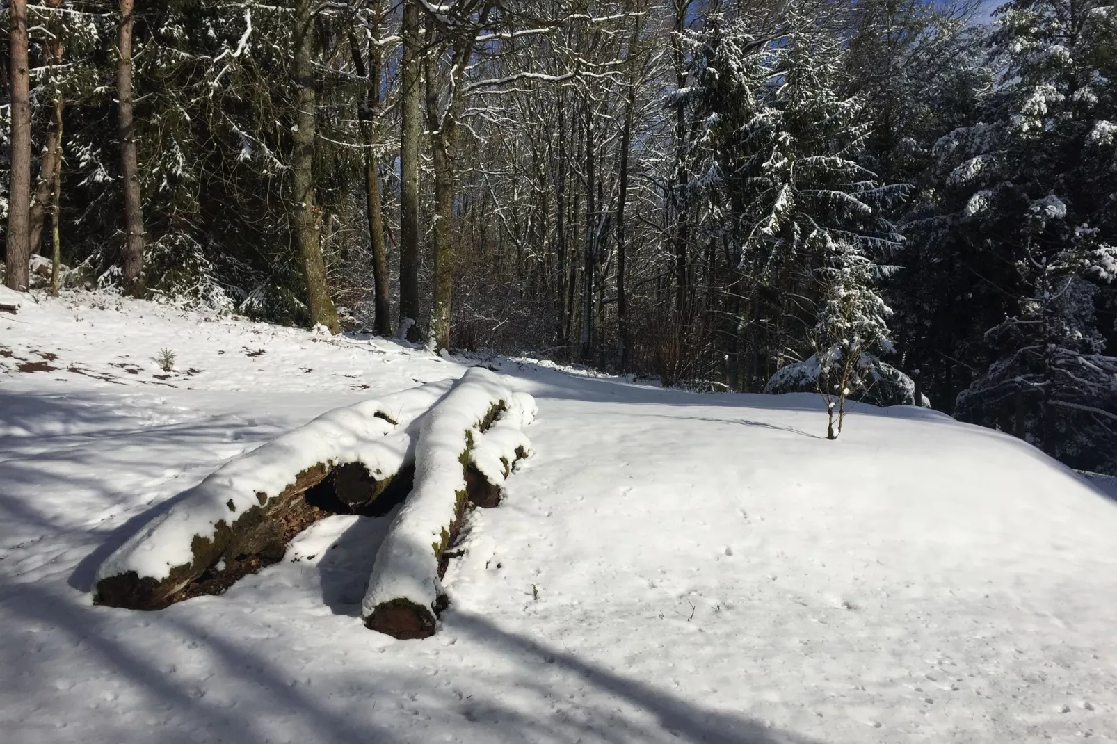 Remschweiler-Gebied winter 20km