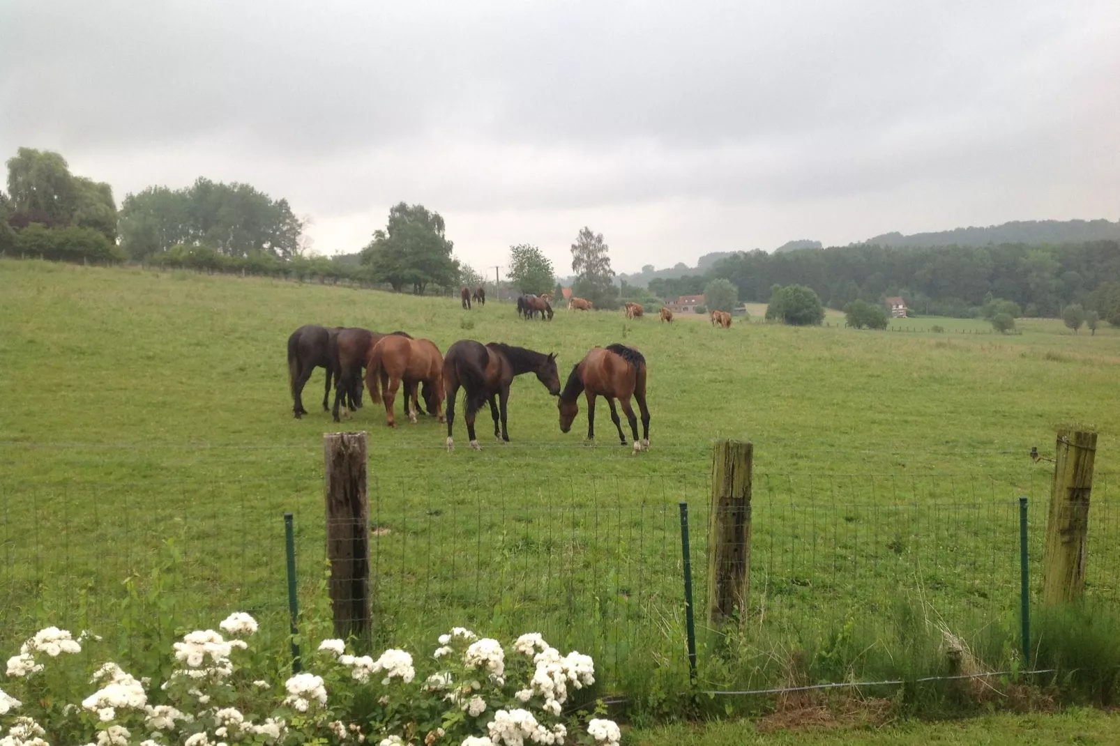 House with a view-Gebieden zomer 20km