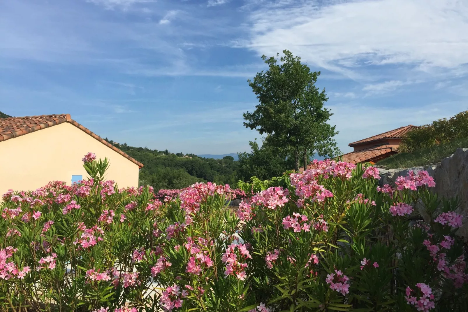 Villa Vallon Pont d'Arc-Uitzicht zomer