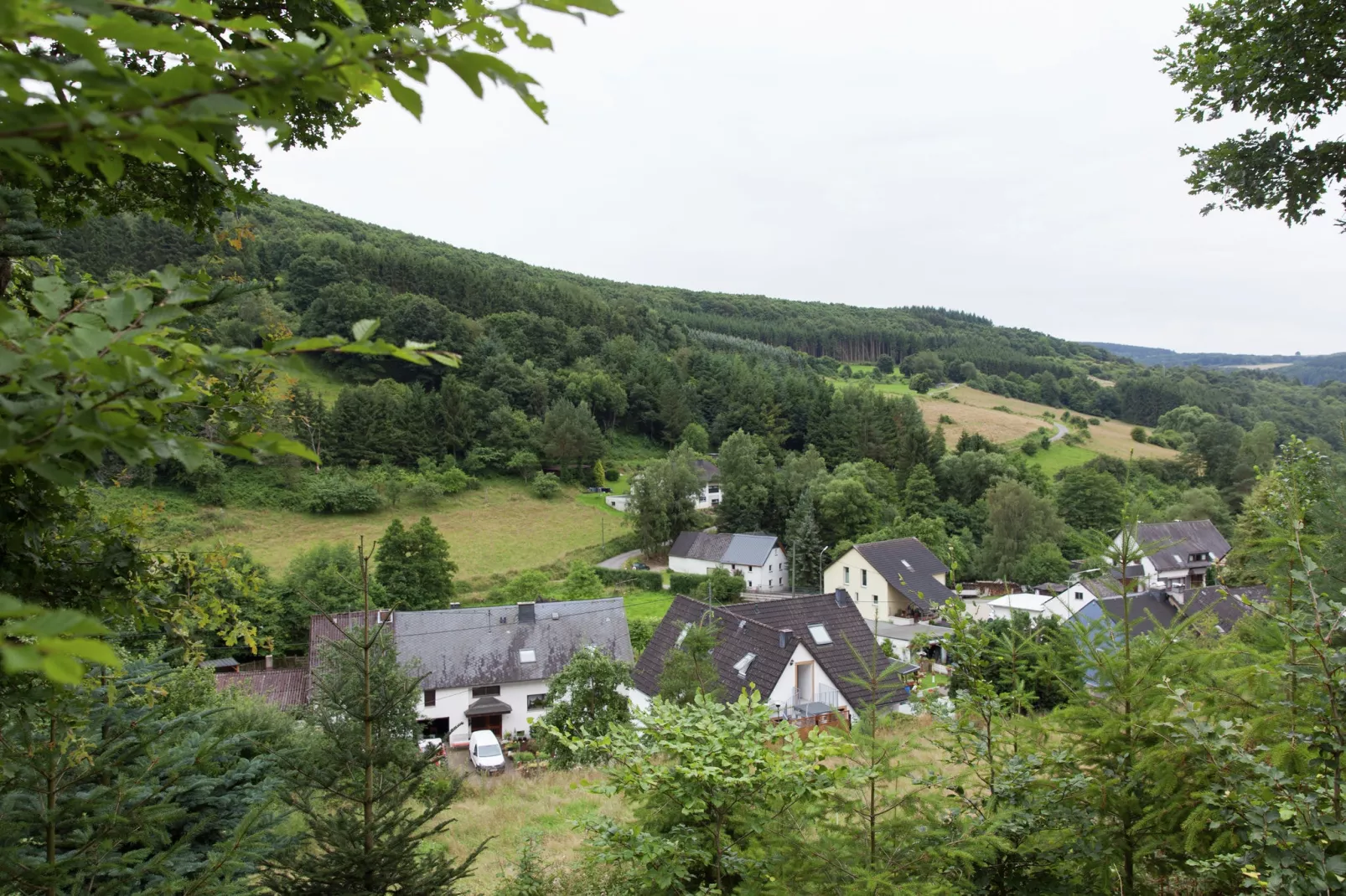 Ferienwohnung Burkart-Uitzicht zomer