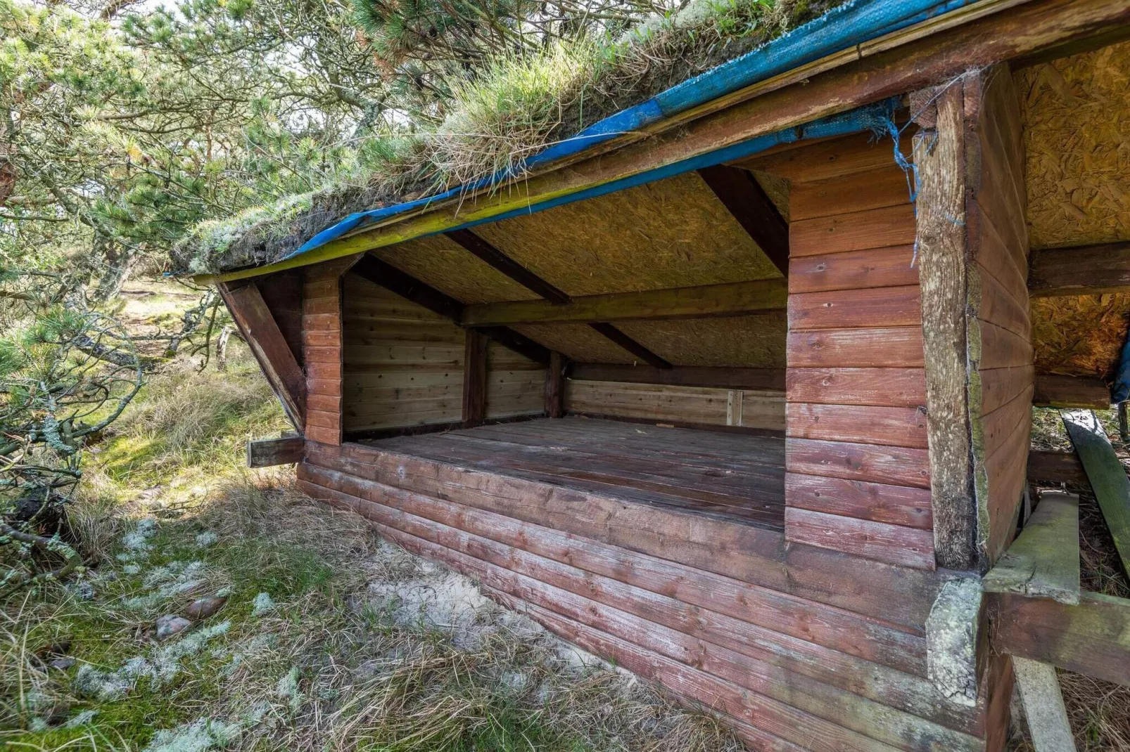 4 persoons vakantie huis op een vakantie park in Fanø-Buitenlucht