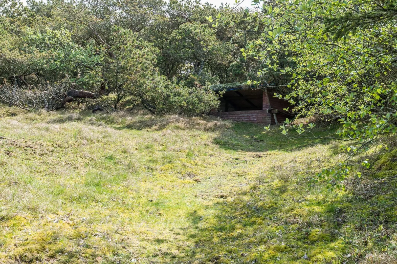 4 persoons vakantie huis op een vakantie park in Fanø-Buitenlucht