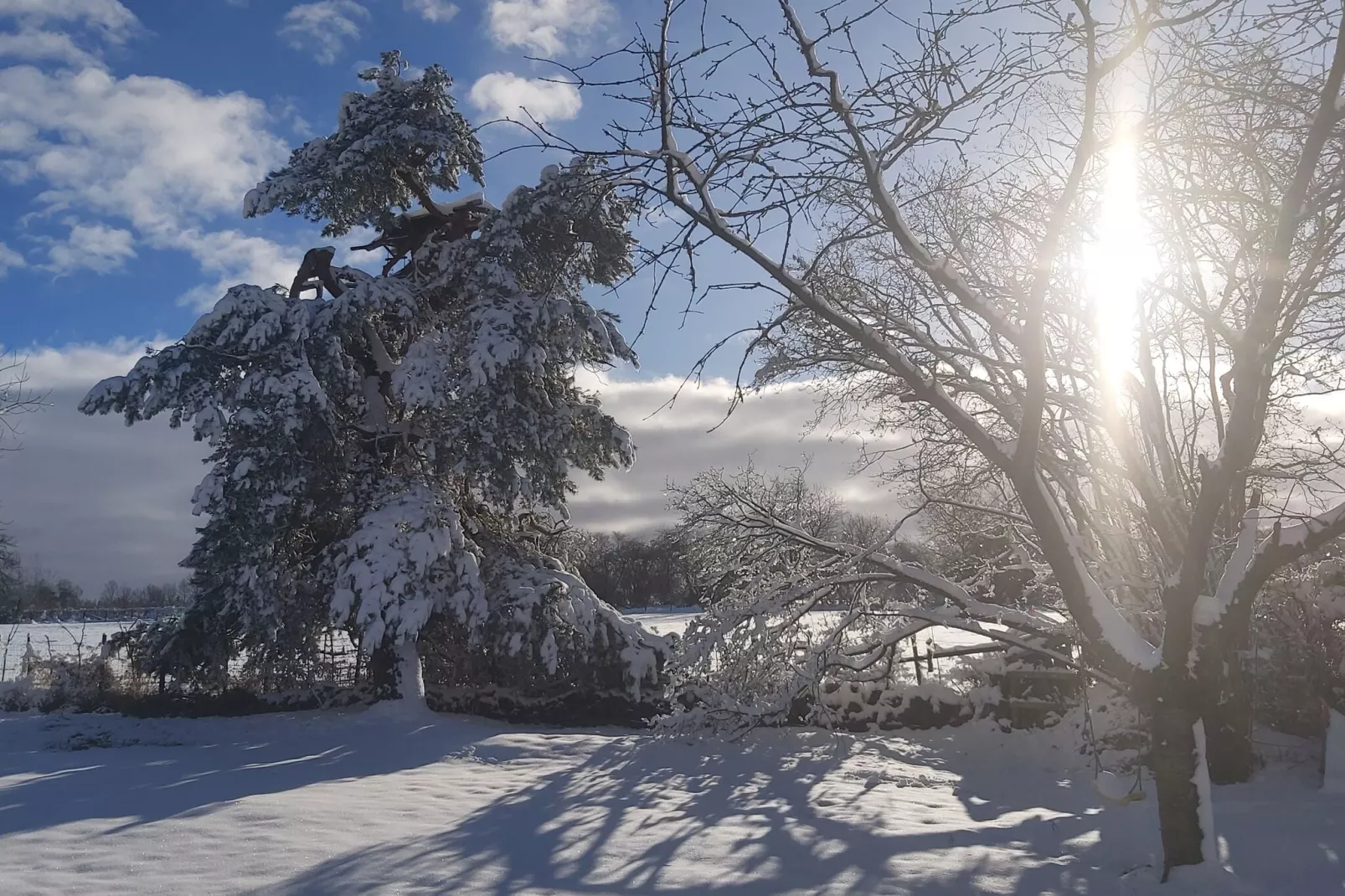 Ardennes Bleu - 10 pers maximum-Tuin winter