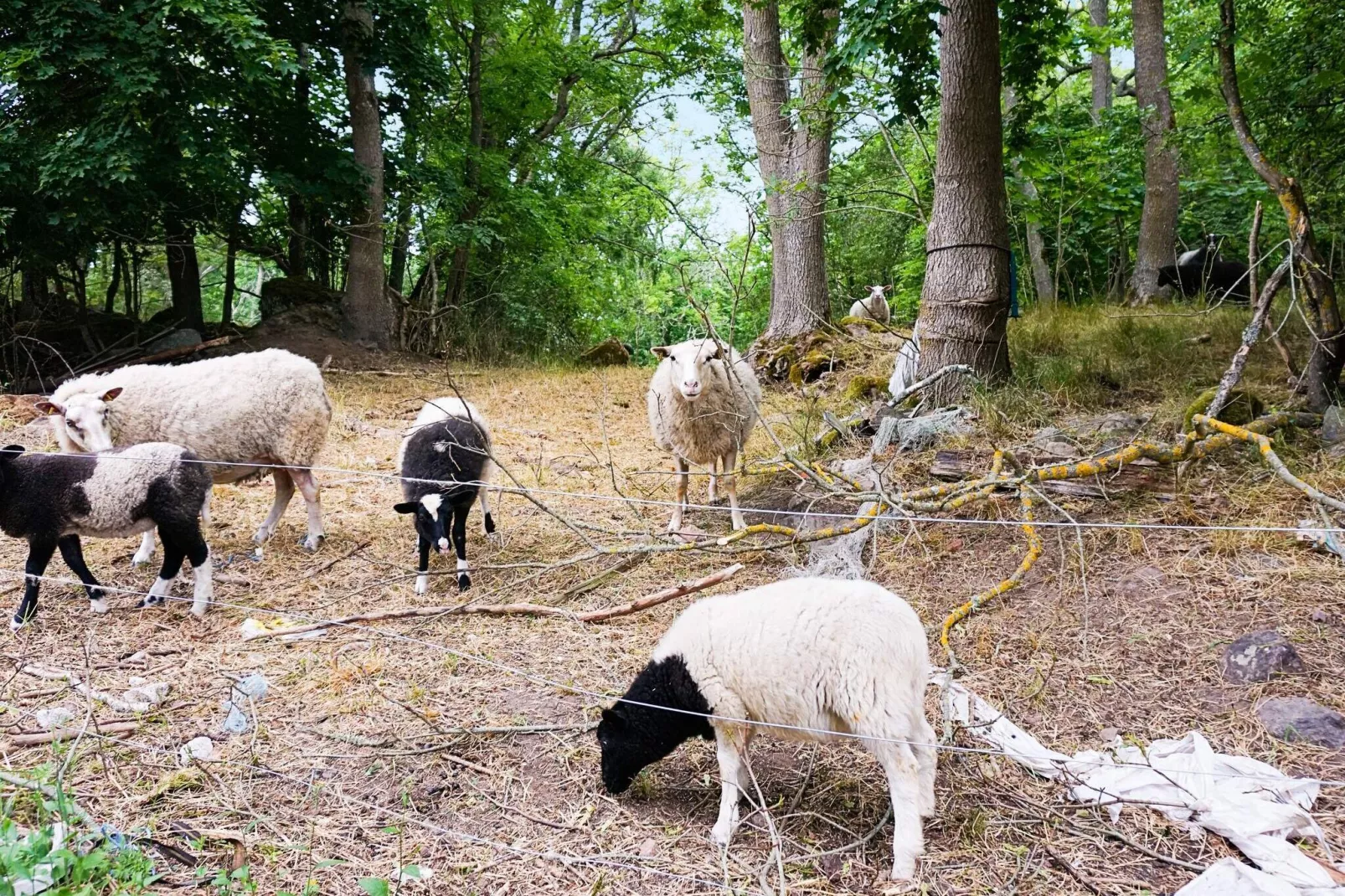 2 persoons vakantie huis in MÖNSTERÅS-Niet-getagd