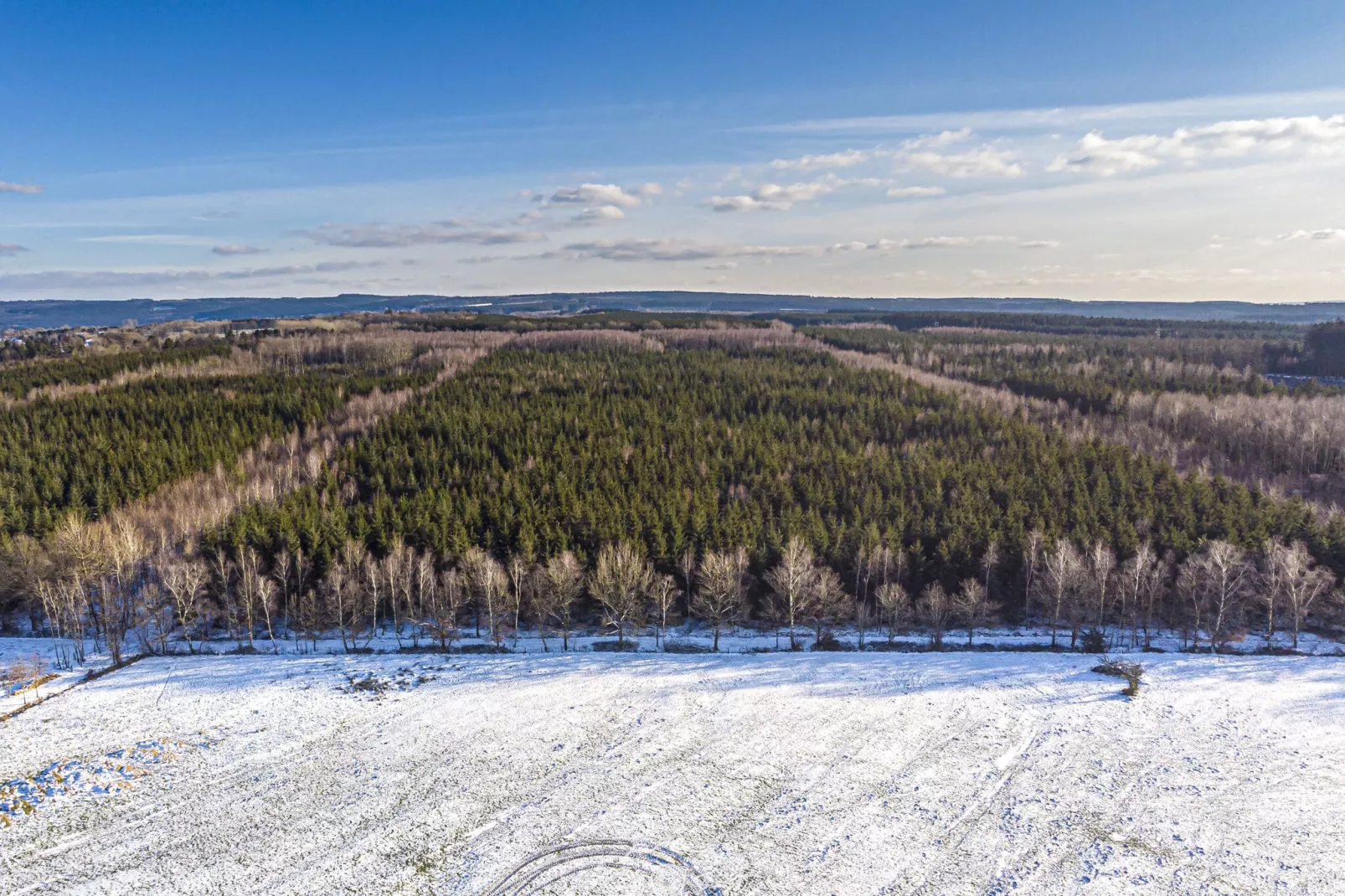 Ardennes Bleu - 10 pers maximum-Uitzicht winter