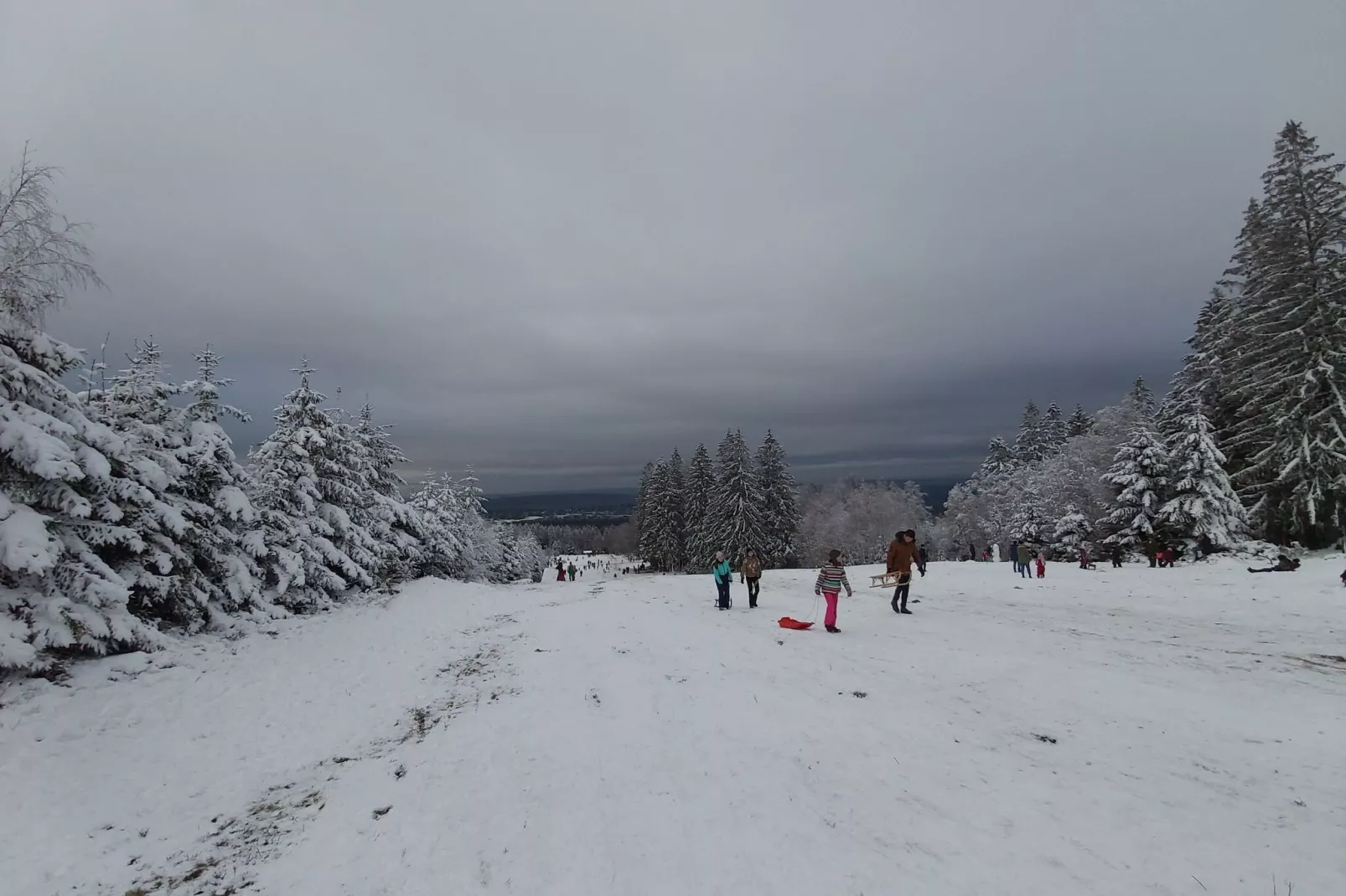 Ardennes Bleu - 10 pers maximum-Gebied winter 20km