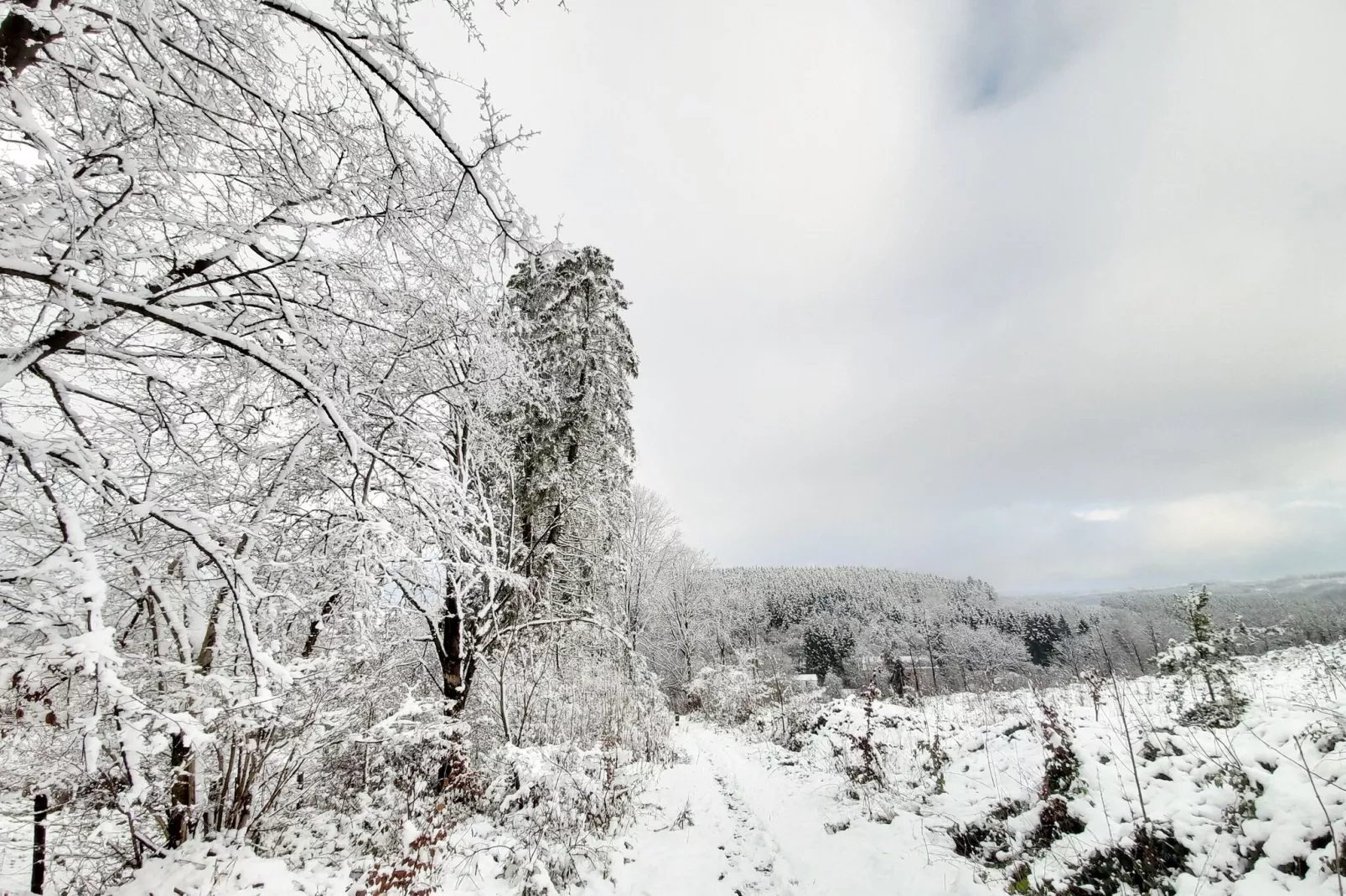 Ardennes Bleu - 10 pers maximum-Gebied winter 20km