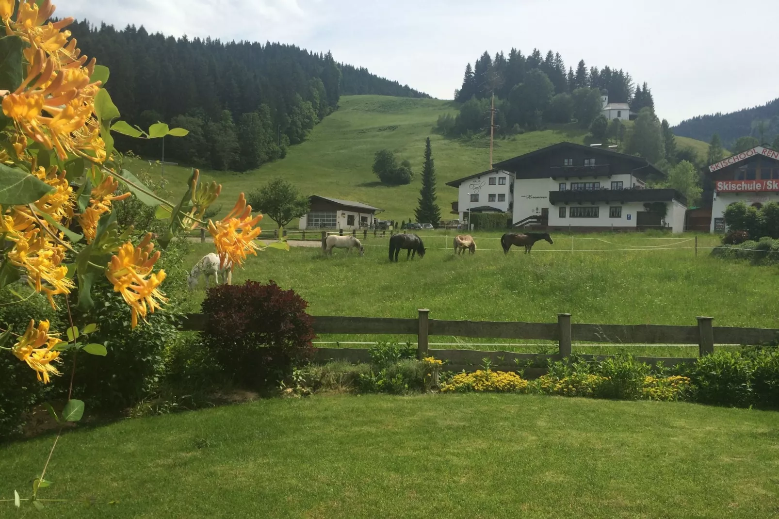 Chalet Kaiserliebe II-Uitzicht zomer