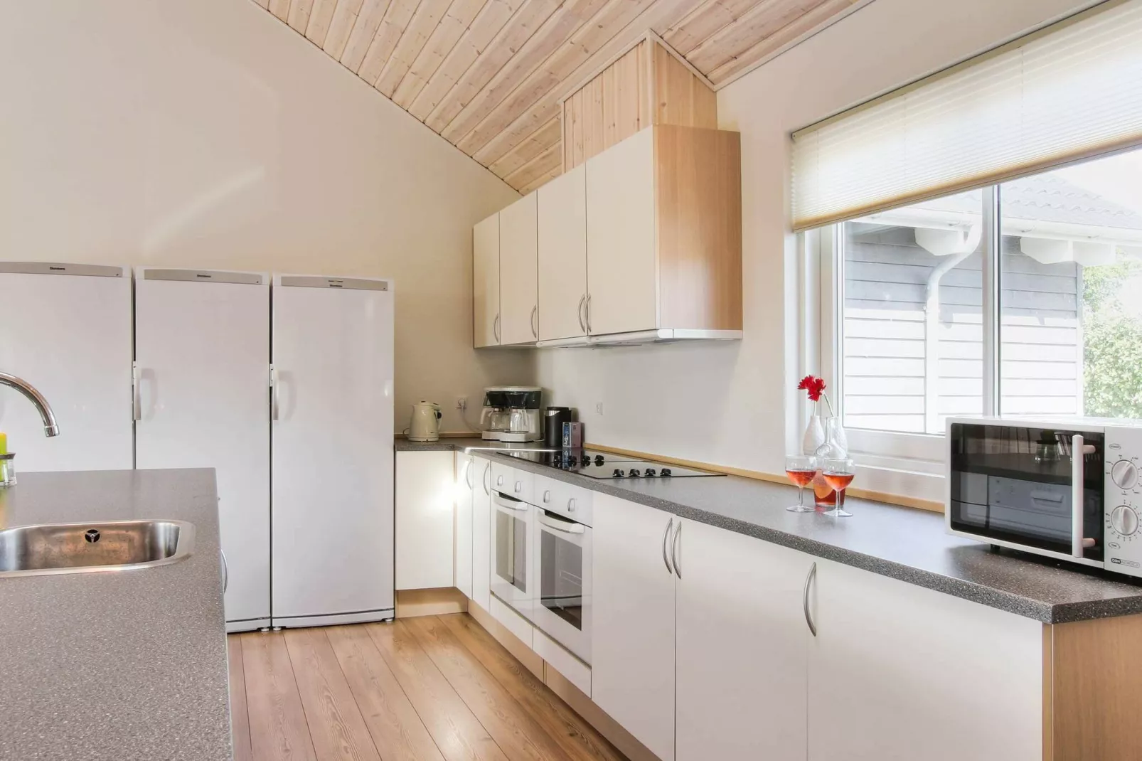 20 persoons vakantie huis in Bagenkop