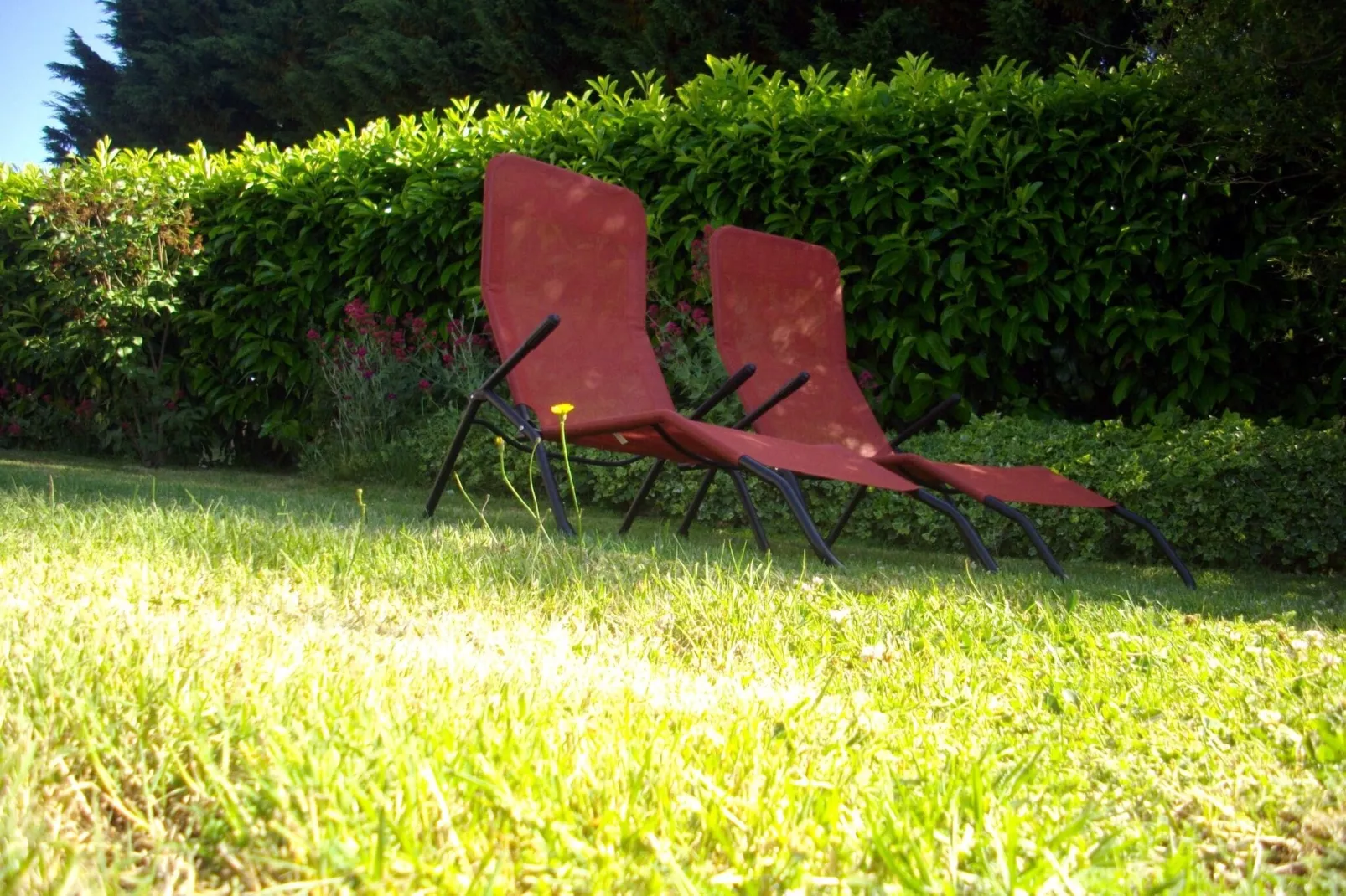 Gite Les Ayes-Tuinen zomer