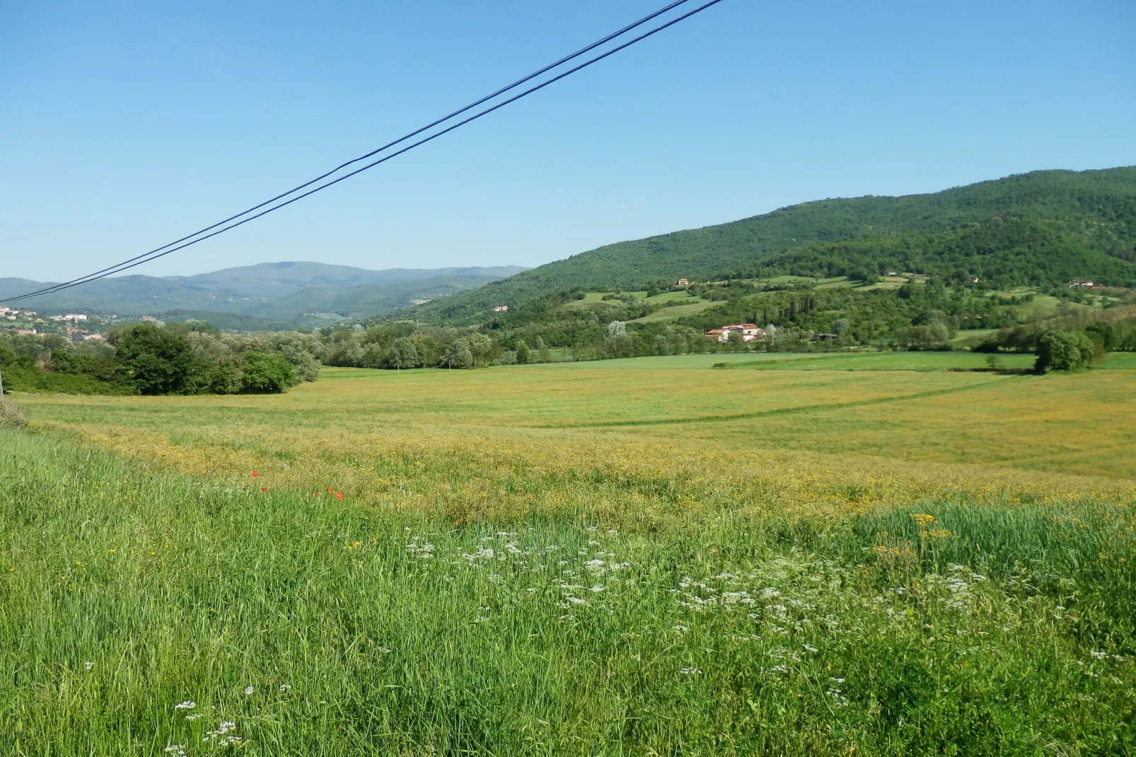 Agriturismo Nonno Raoul-Gebieden zomer 5km