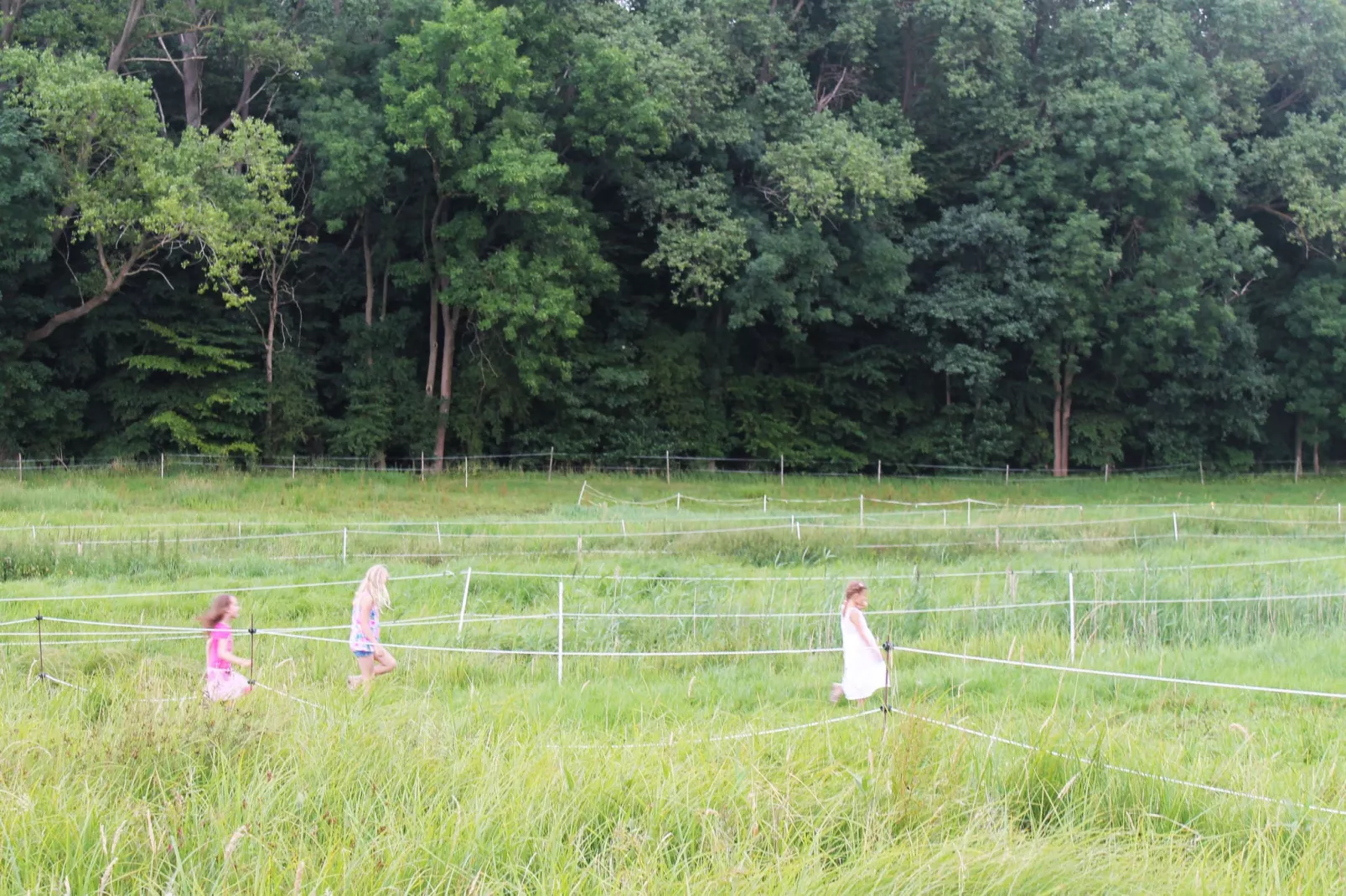 Am Hellbachtal Nr 2-Tuinen zomer