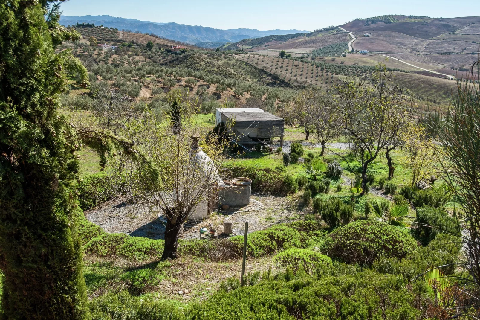 Casa Villa Campito-Uitzicht zomer