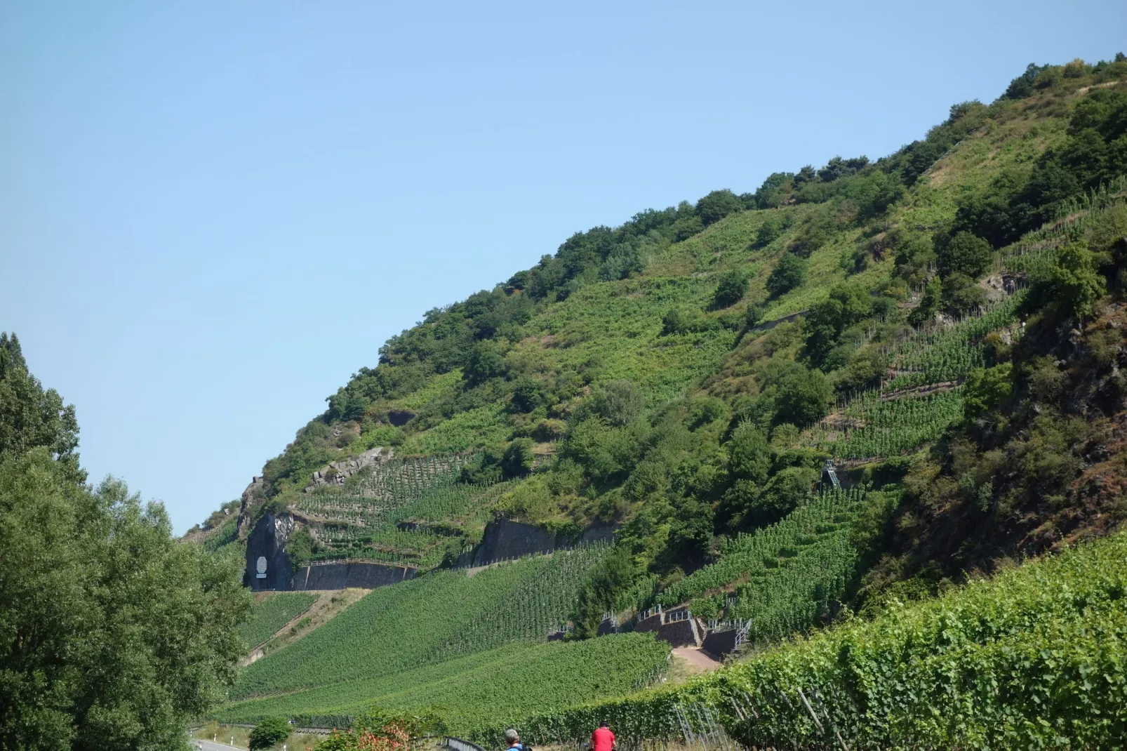 Sonne-Gebieden zomer 20km