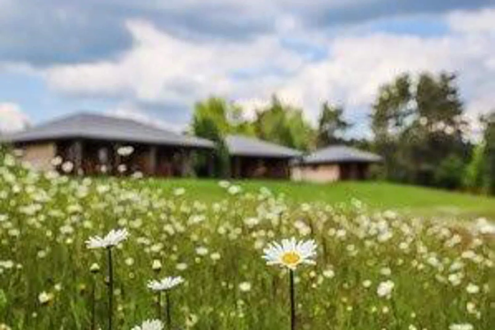 Le Domaine des Monédières-Buitenkant zomer