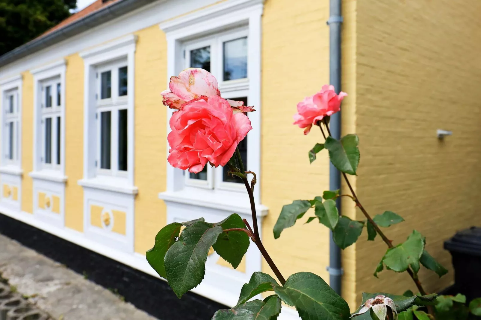 5 persoons vakantie huis in Marstal-By Traum-Uitzicht