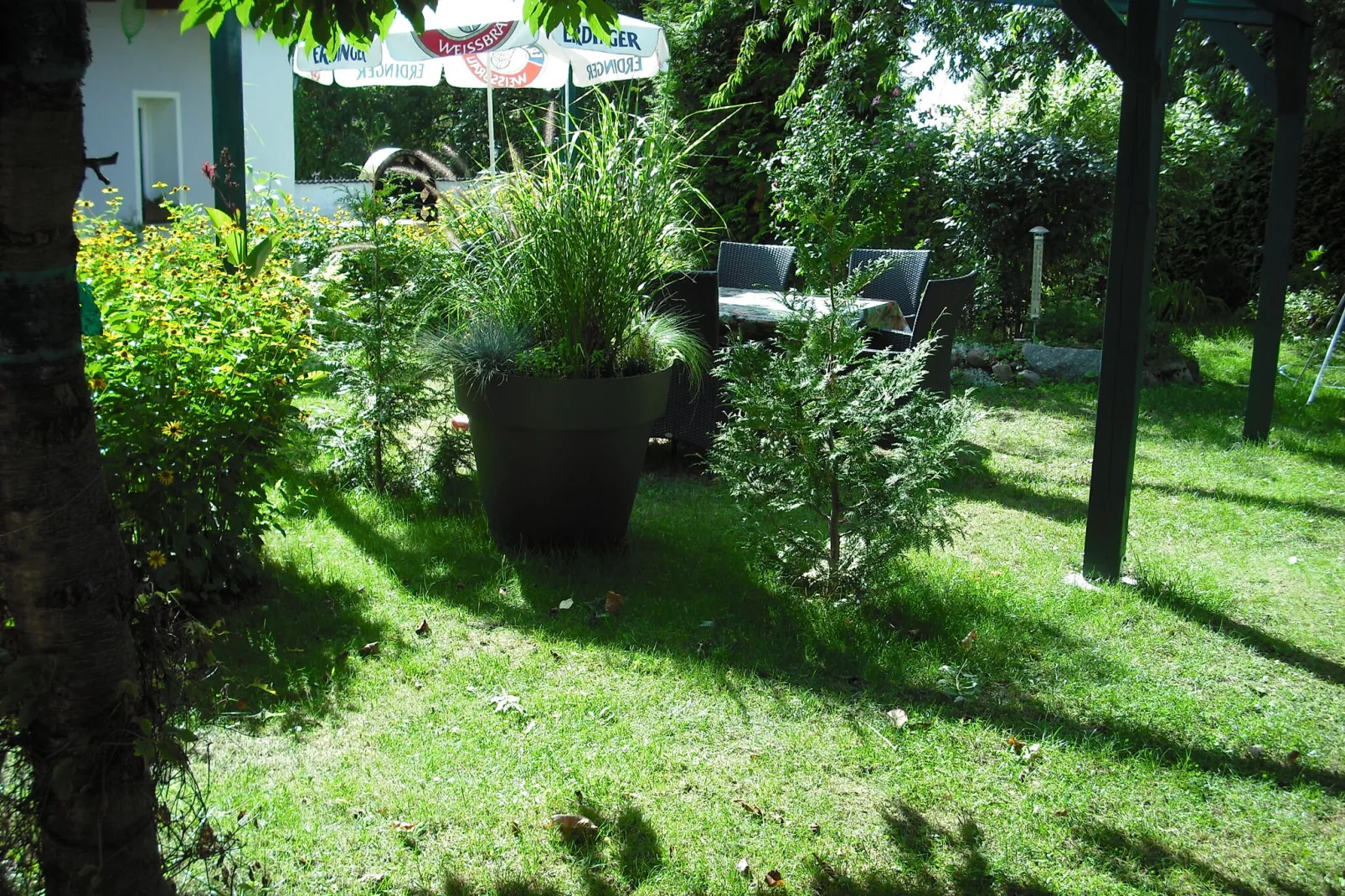 Ferienhaus Storchenblick-Tuinen zomer