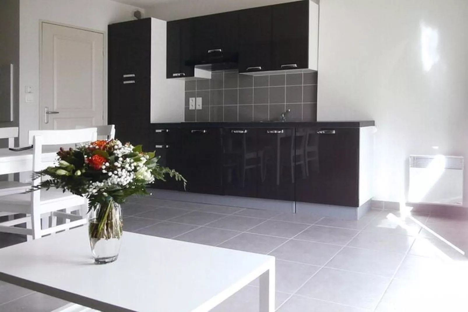 Residence Le Domaine des Mauriers St Malo // T2/4 pers-Keuken
