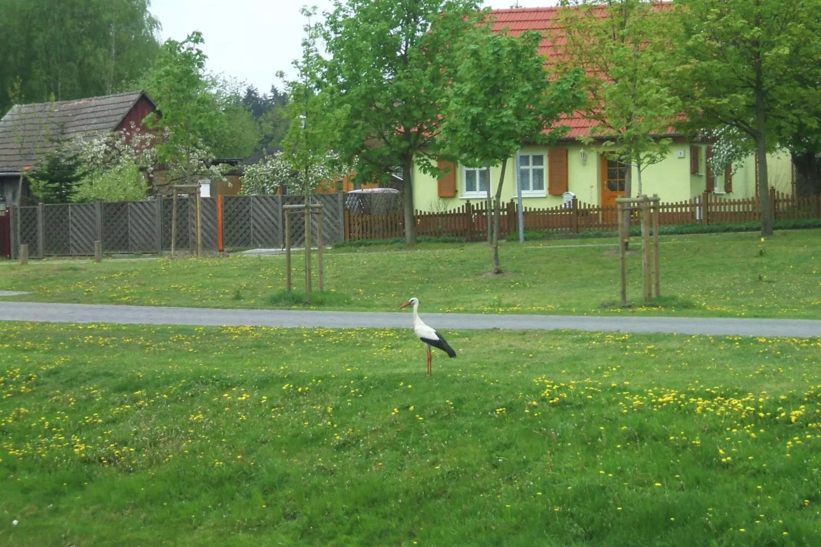 Ferienhaus Storchenblick-Gebieden zomer 1km