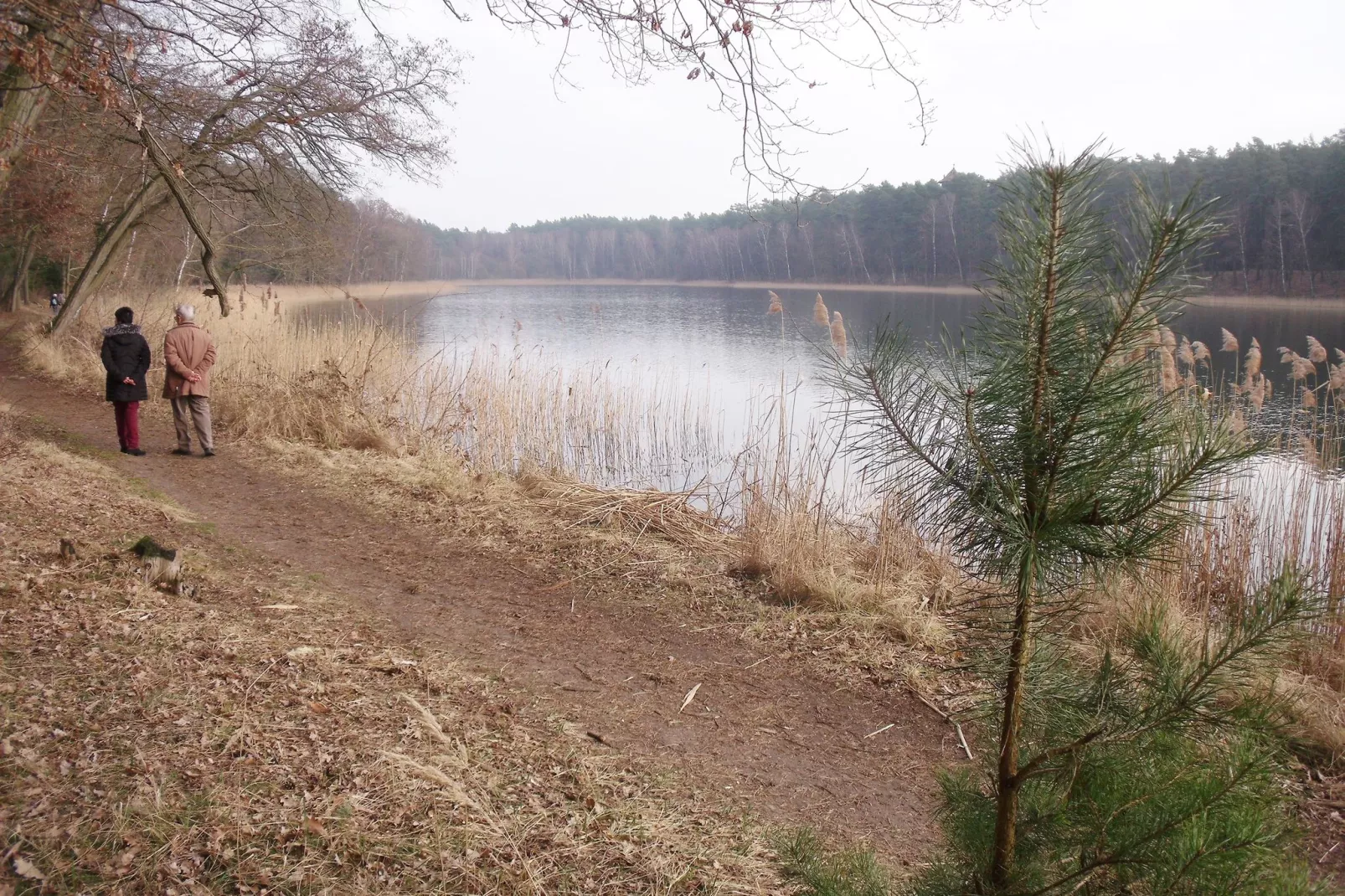 Ferienhaus Storchenblick-Gebied winter 5km