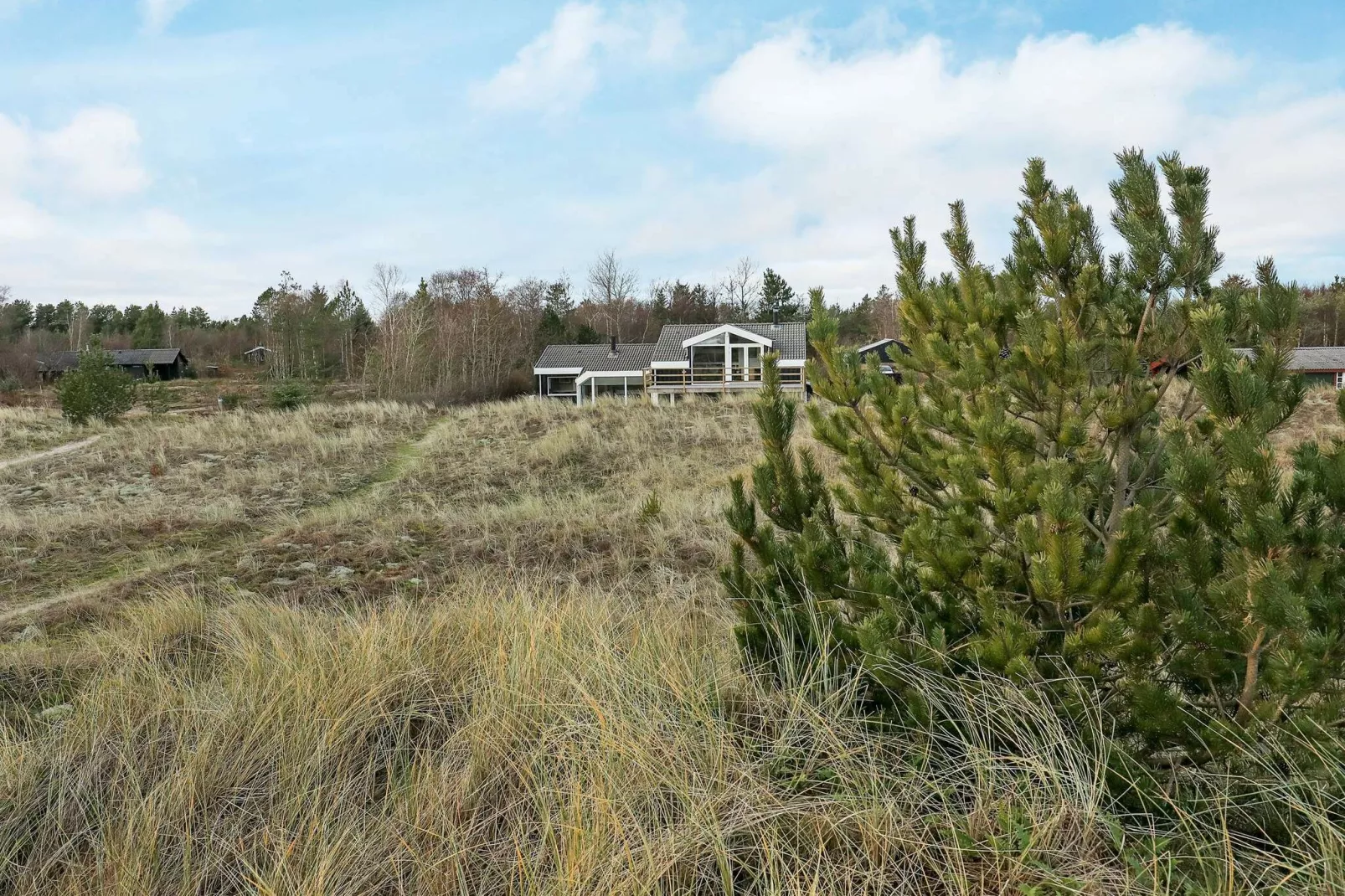 8 persoons vakantie huis in Ålbæk-Uitzicht