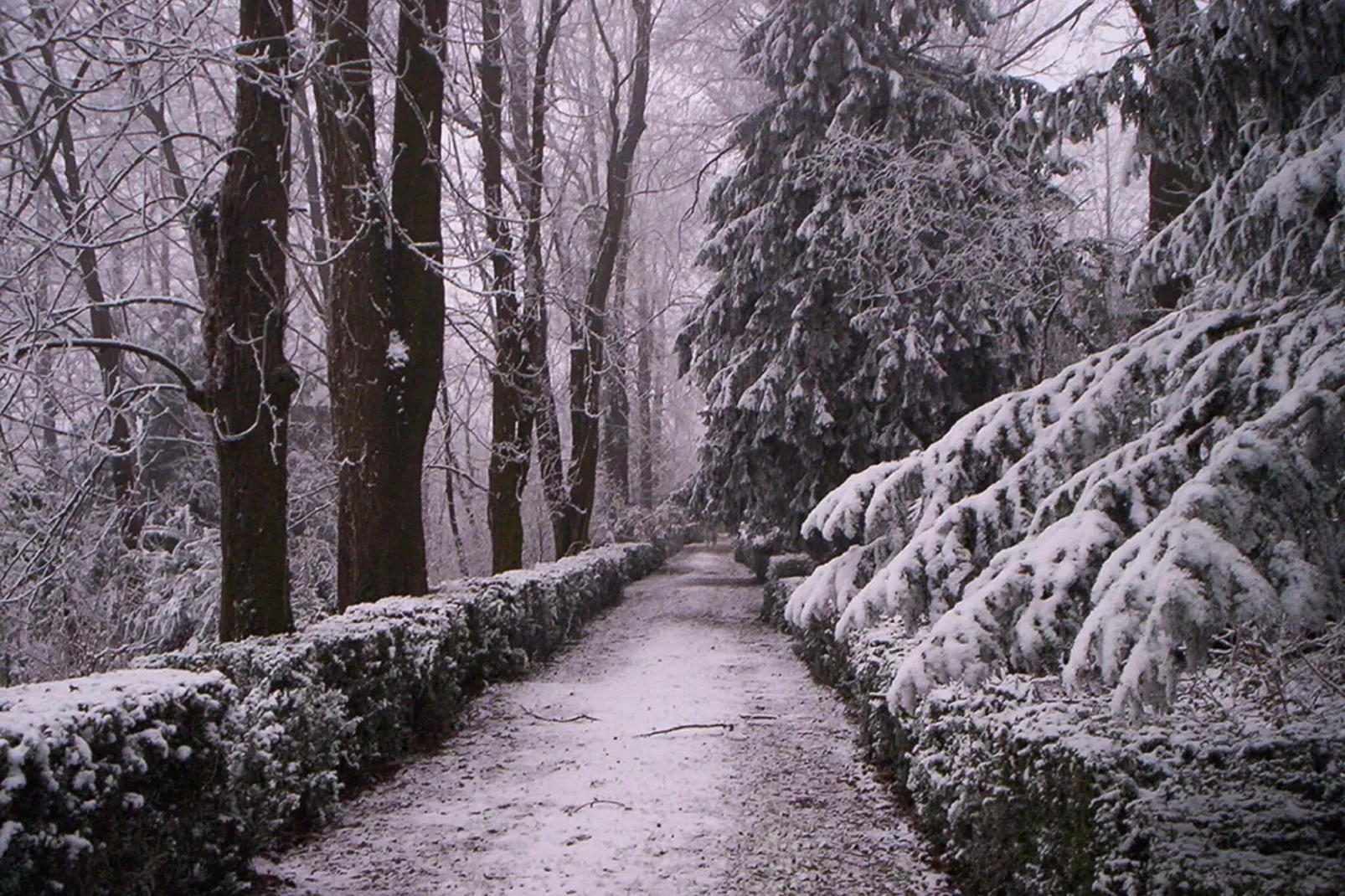 Castello di Robella-Gebied winter 5km