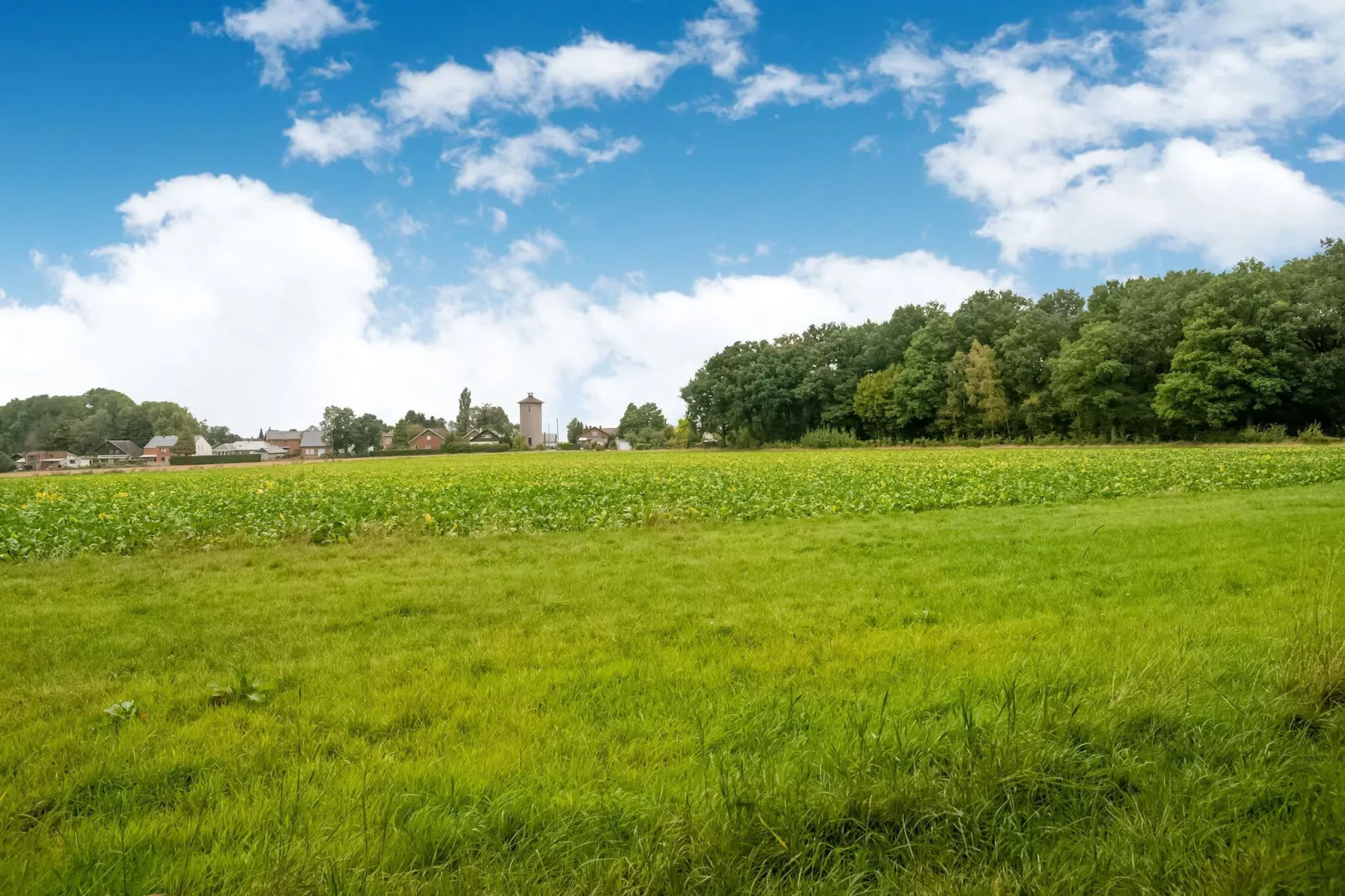 Le Gîte du Lac Privé-Gebieden zomer 1km