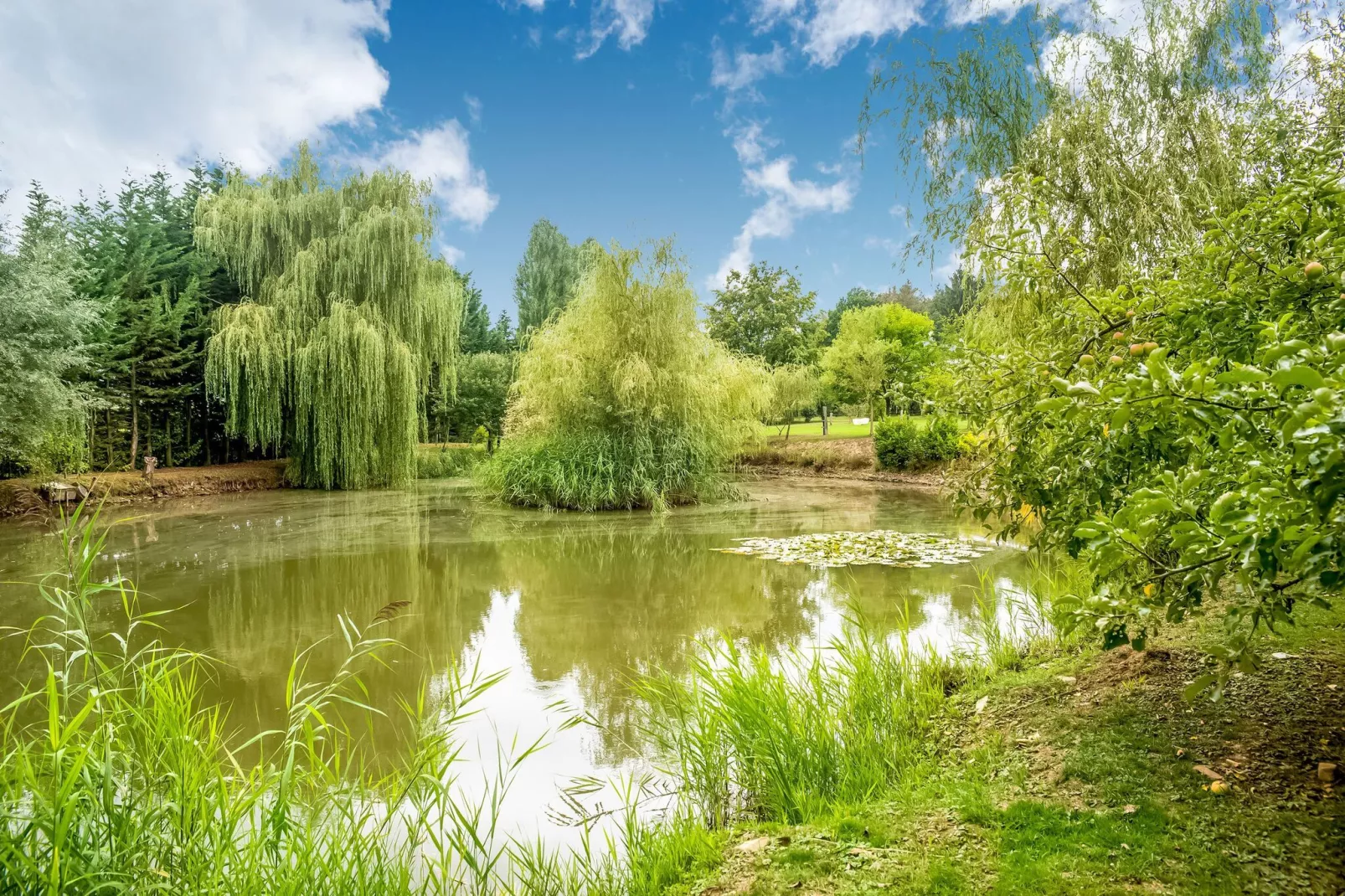 Le Gîte du Lac Privé-Gebieden zomer 1km