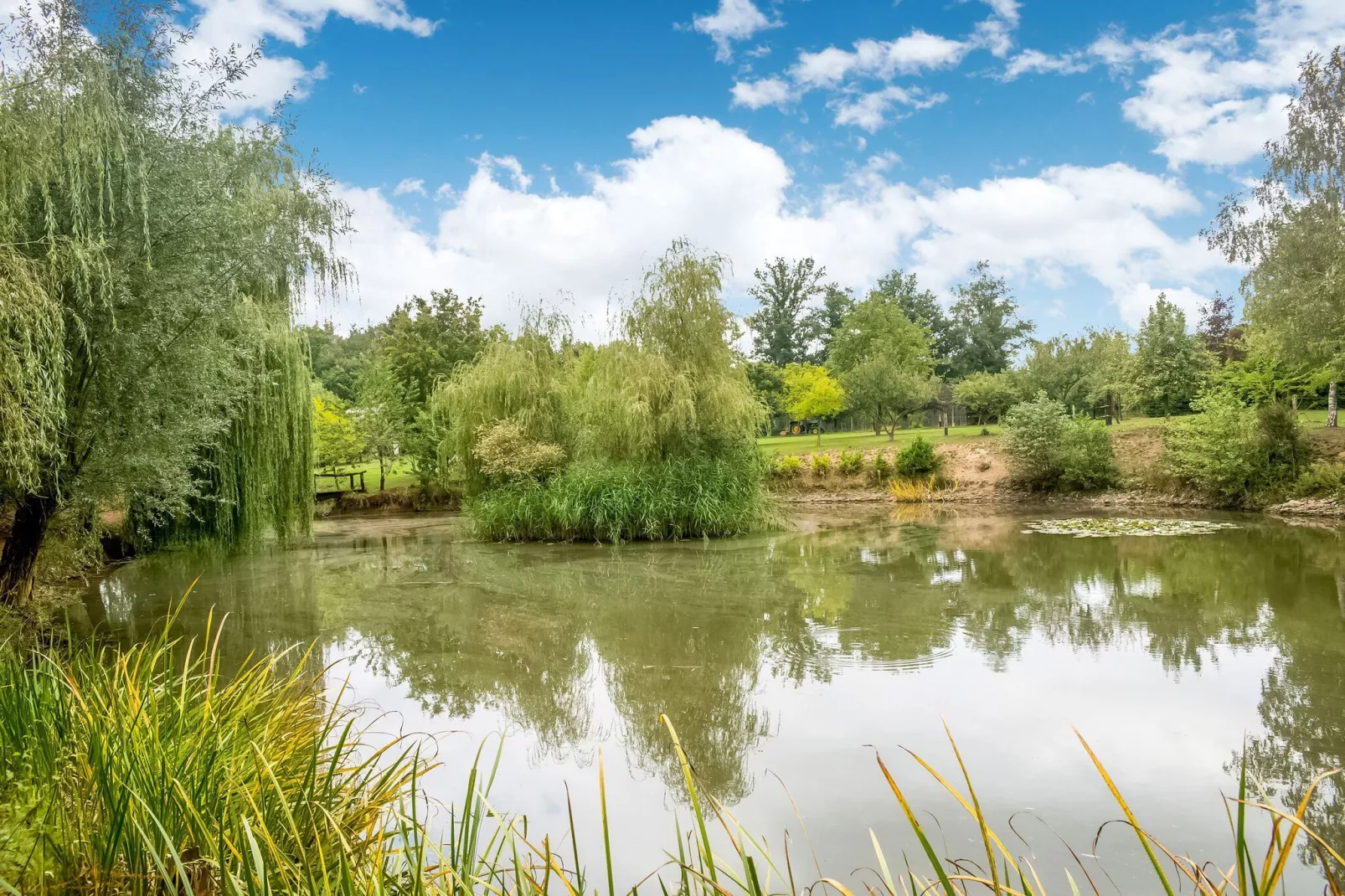 Le Gîte du Lac Privé-Gebieden zomer 1km