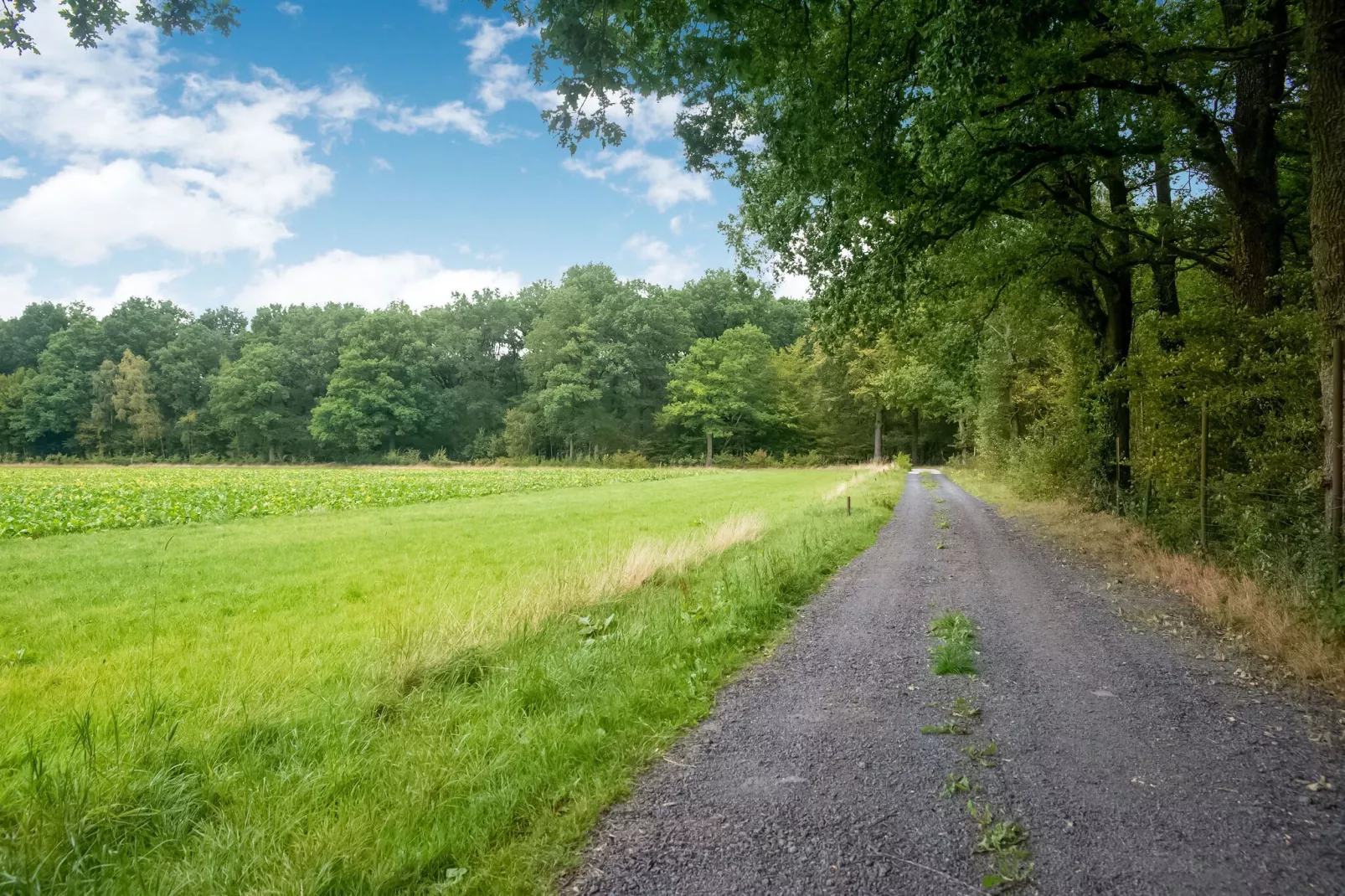 Le Gîte du Lac Privé-Gebieden zomer 5km