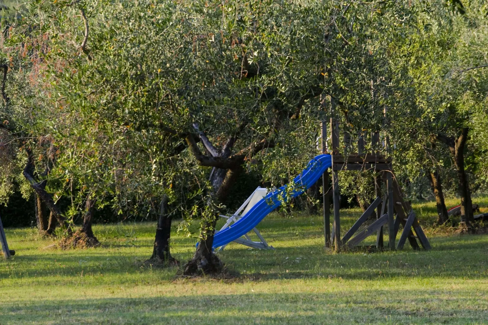 Podere Pulicciano Cantina-Tuinen zomer