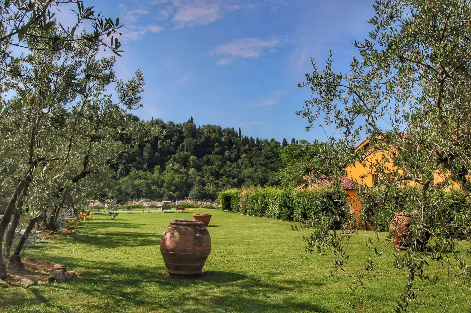 Podere Pulicciano Orciaia-Uitzicht zomer