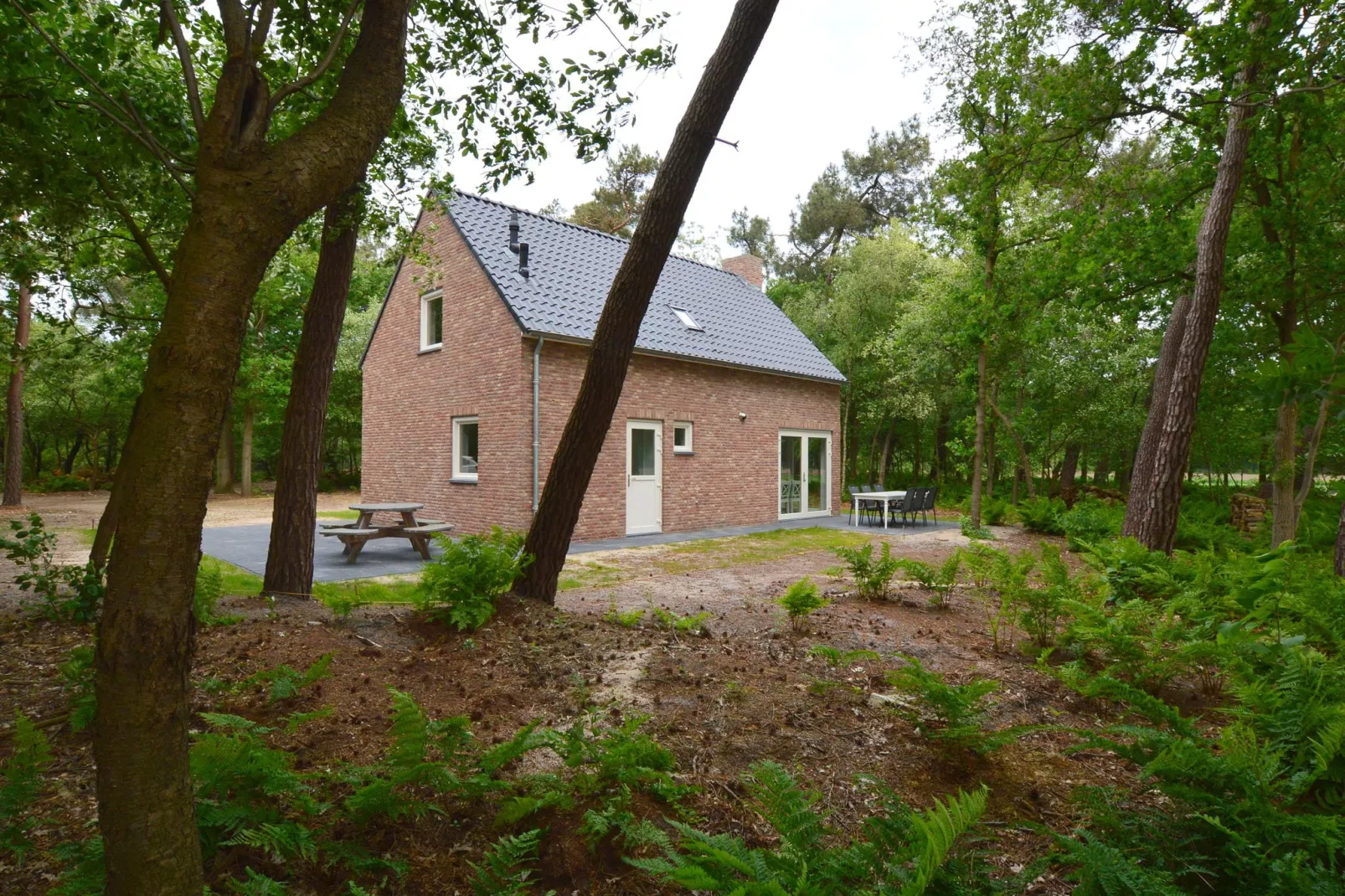 De Lisster